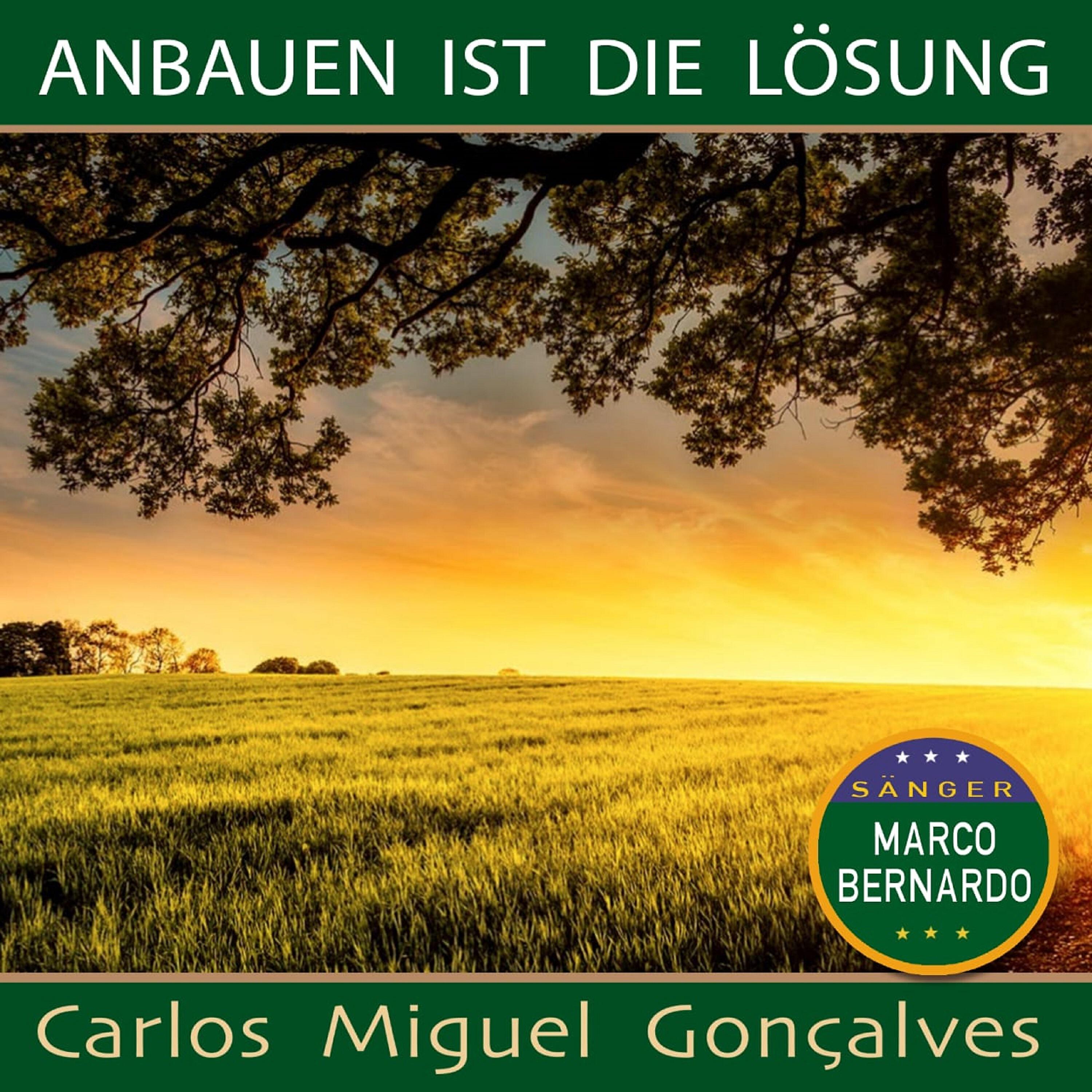 Релиз Anbauen ist die Lösung