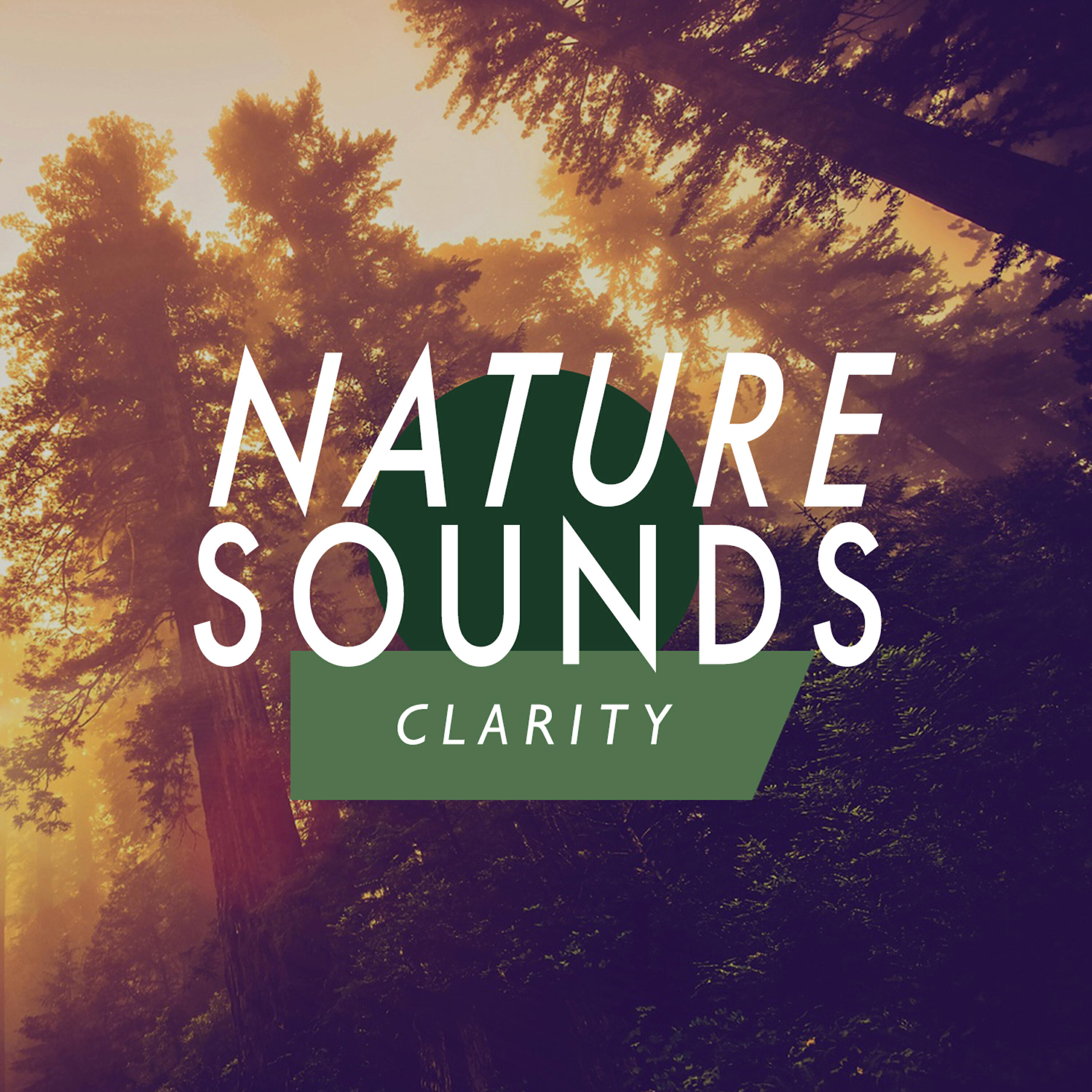 Релиз Nature Sounds: Clarity