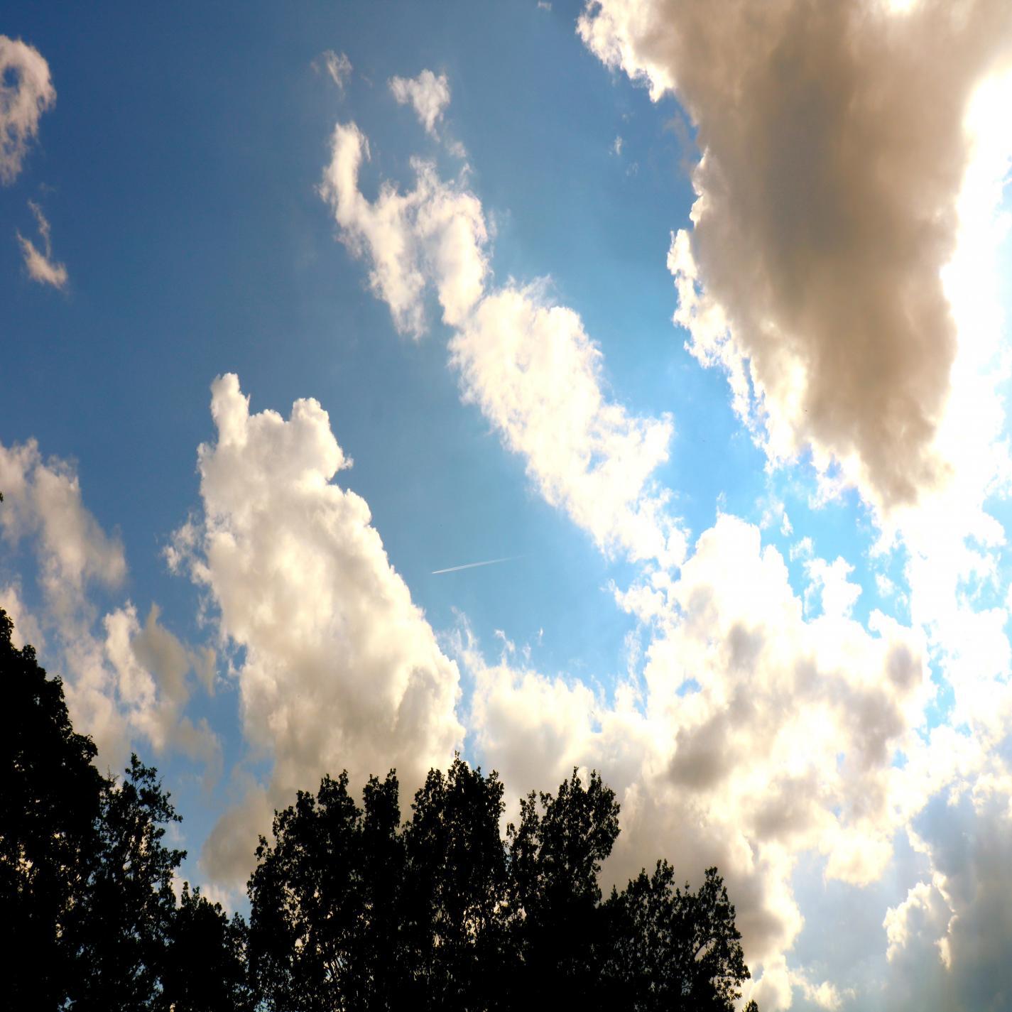 Релиз Watching Clouds / Clean Slate