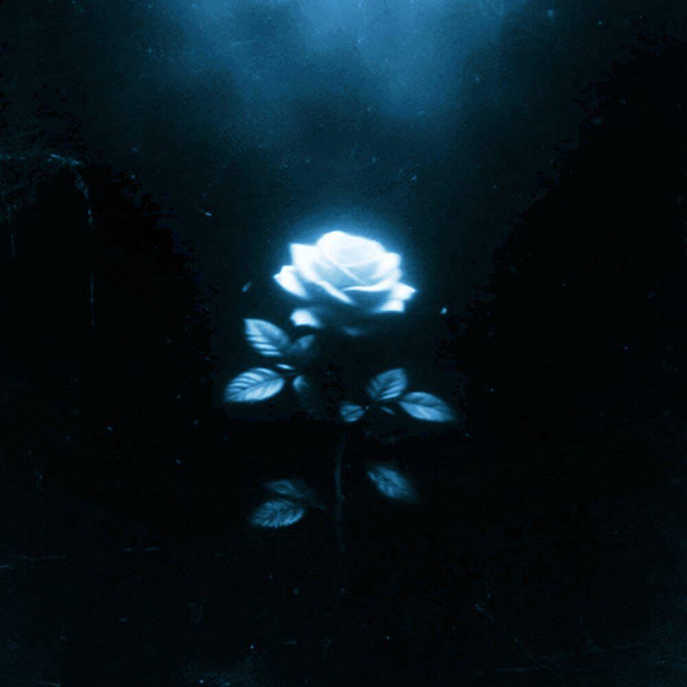 Релиз The Only Remedy (Glitch MIX)