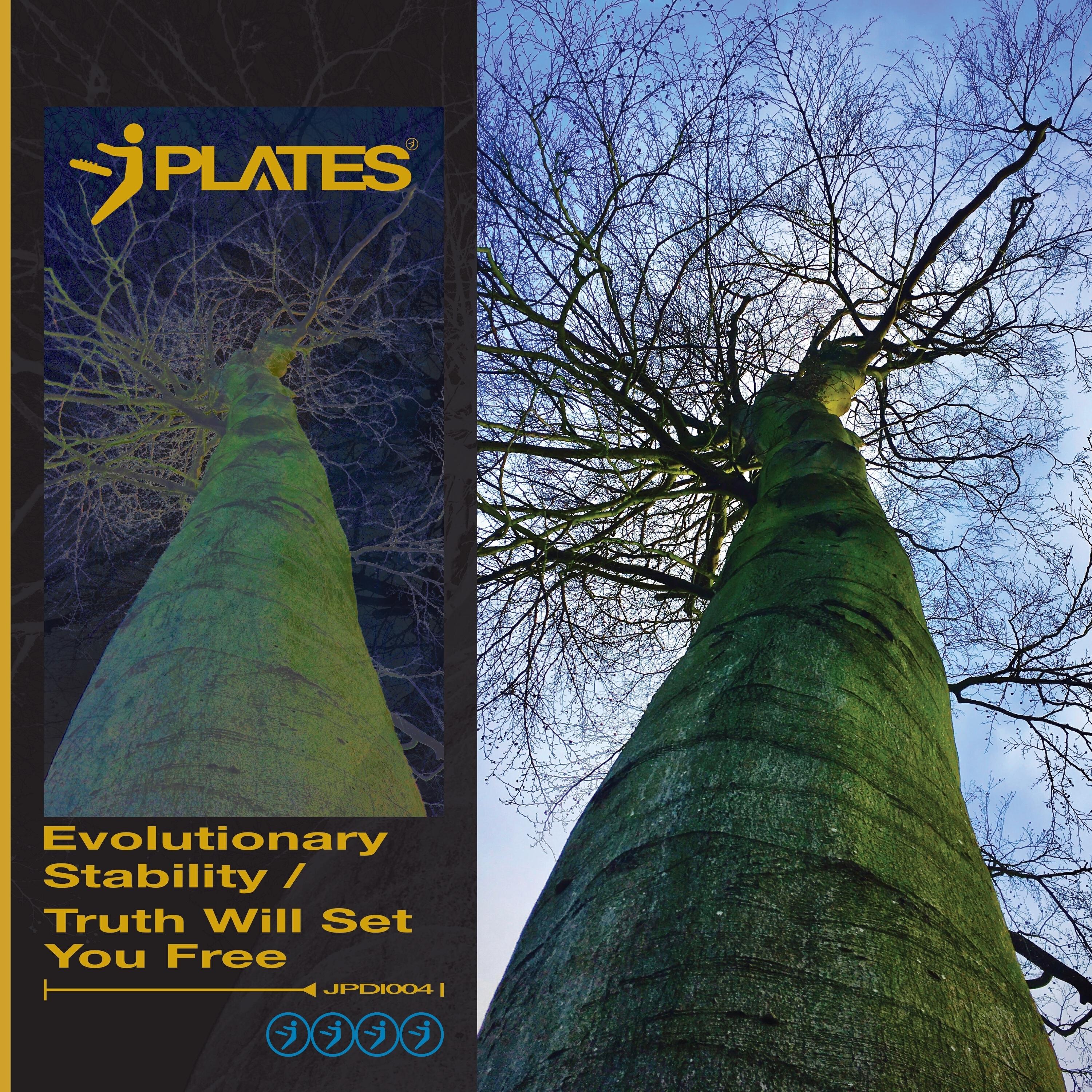 Релиз Evolutionary Stability / Truth Will Set You Free