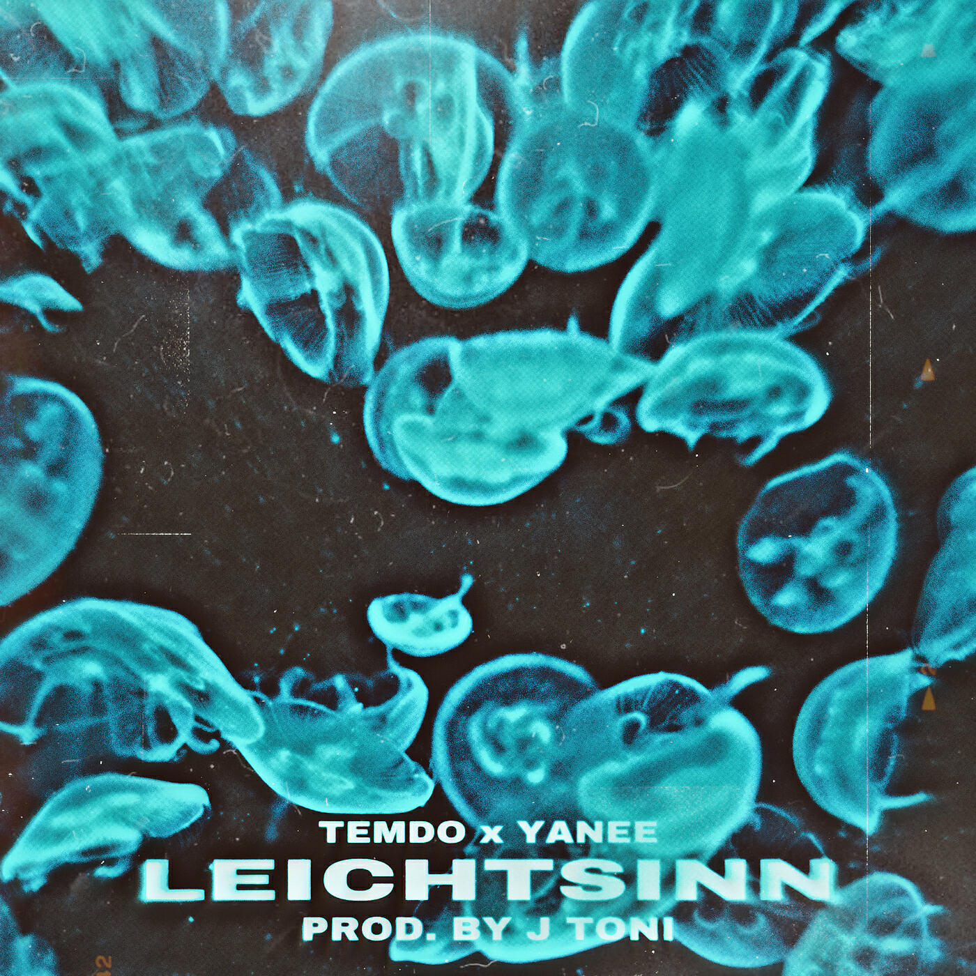 Альбом Leichtsinn исполнителя Yanee, Temdo