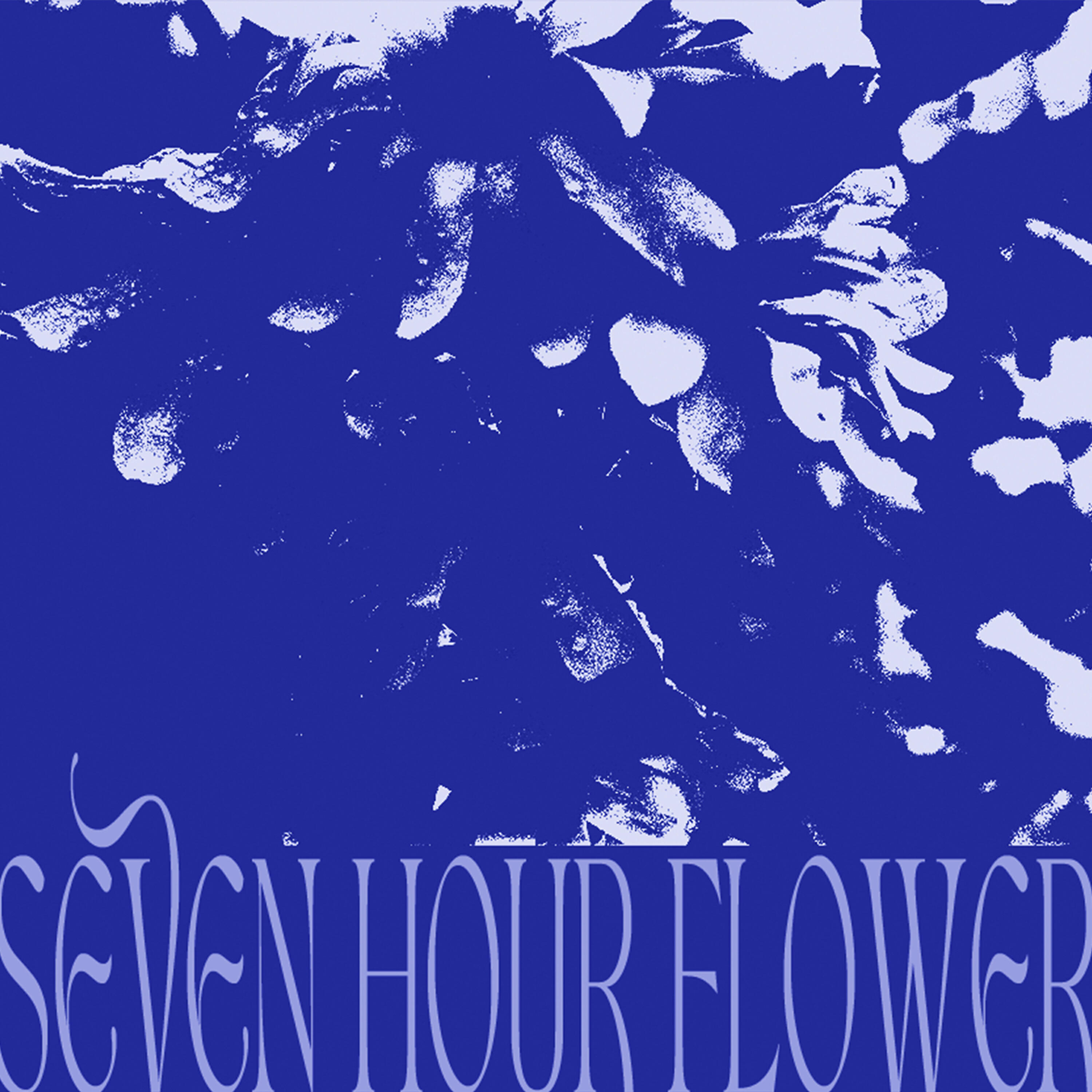 Постер альбома Seven Hour Flower