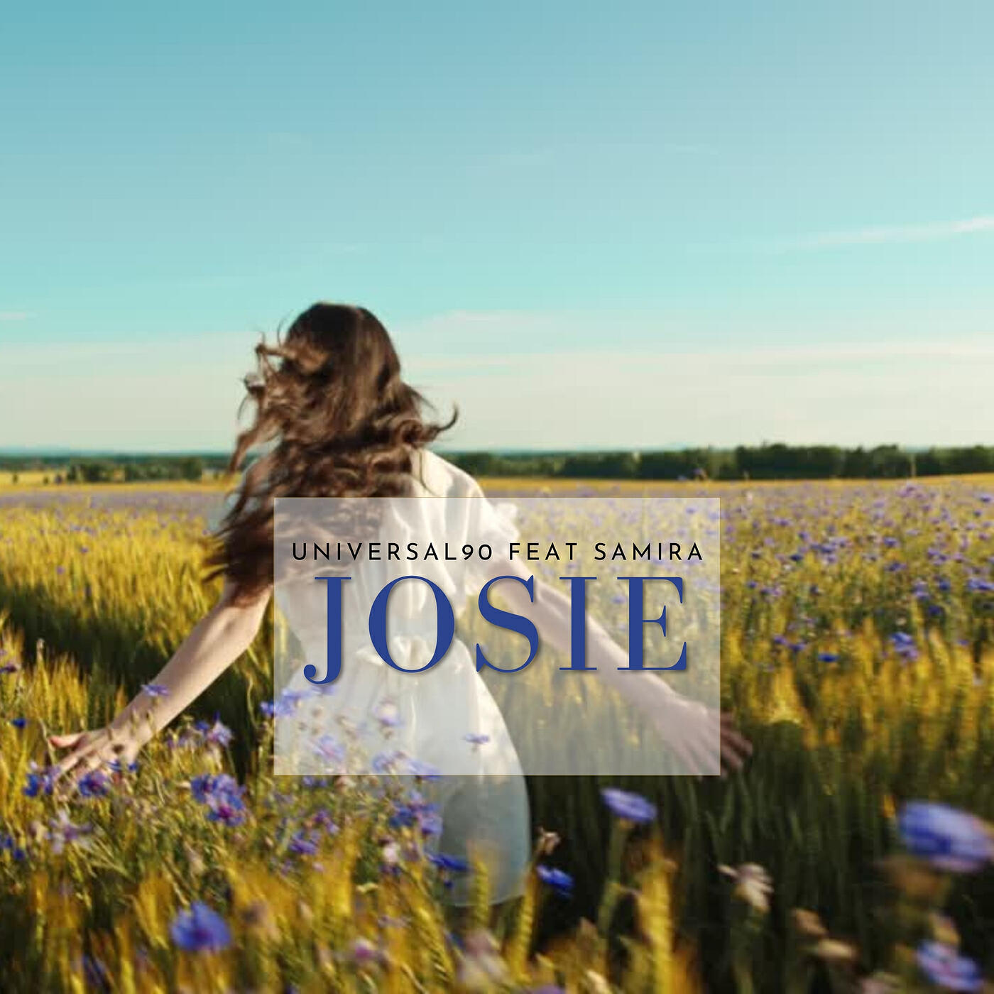 Постер альбома Josie