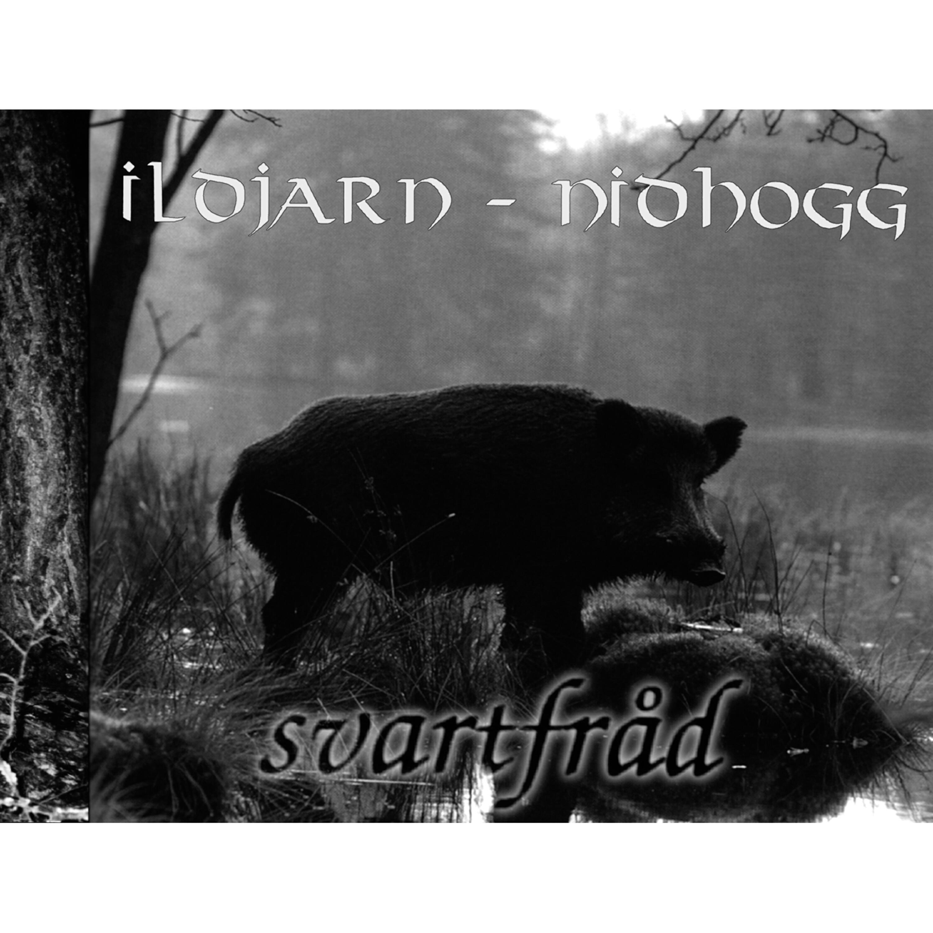 Релиз Svartfråd