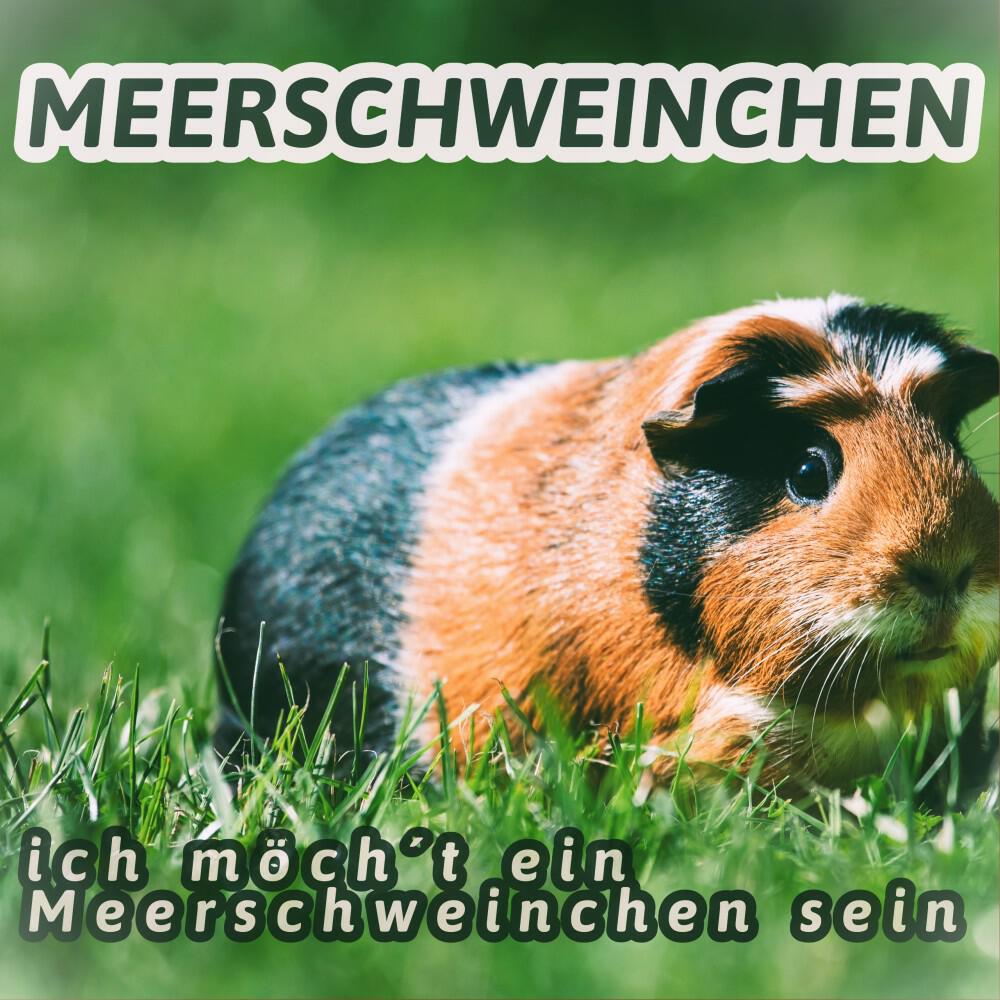 Релиз Ich möch't ein Meerschweinchen sein