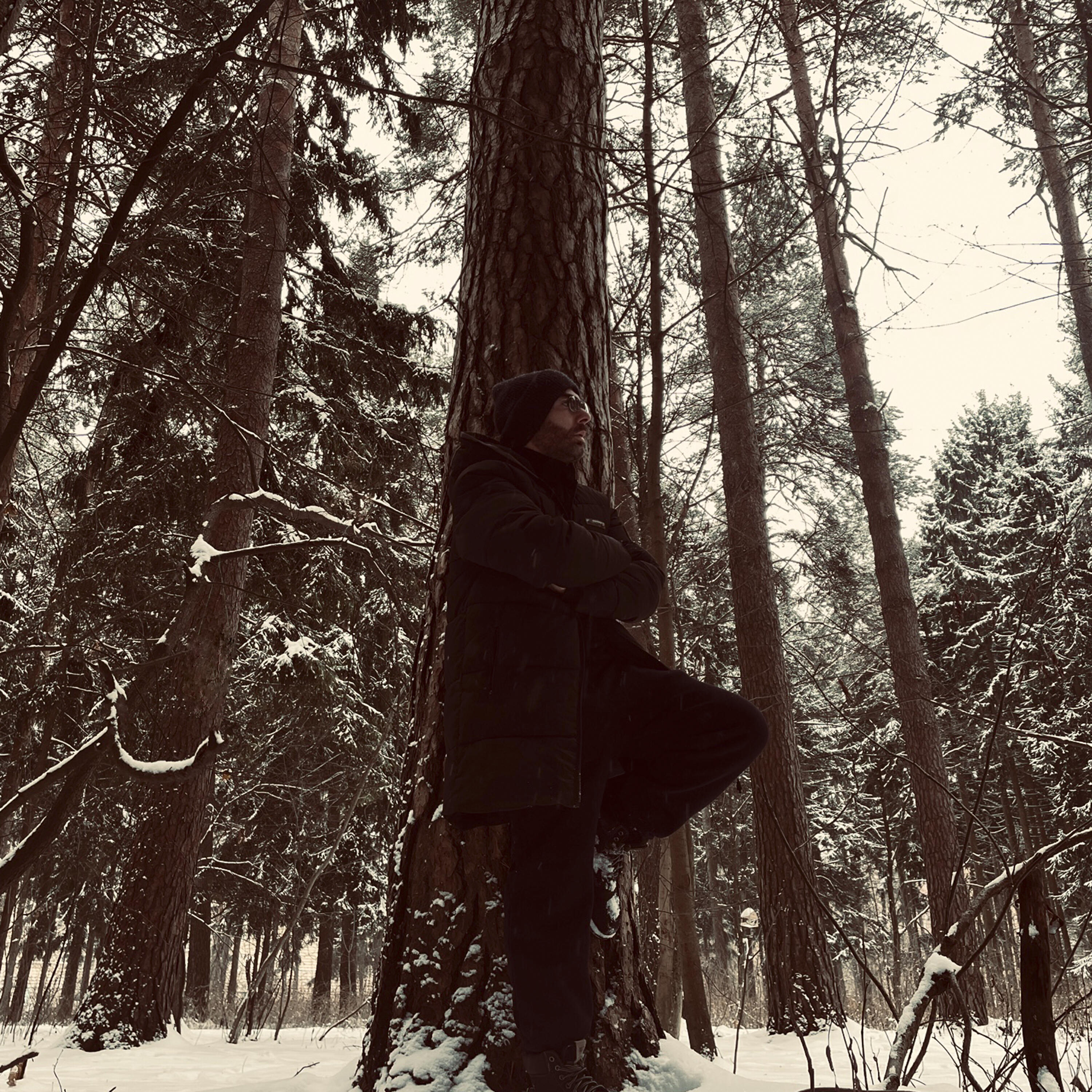 Релиз замкнутый круг