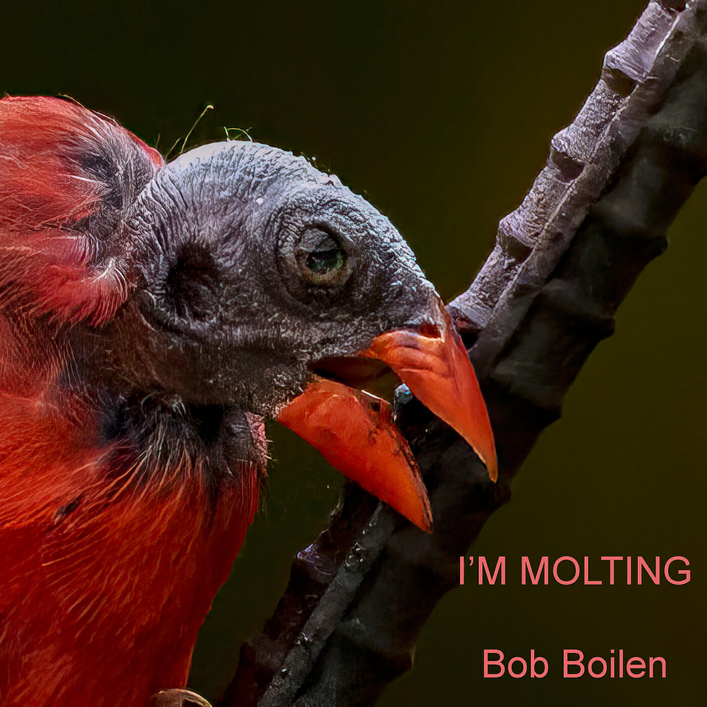 Релиз I'm Molting