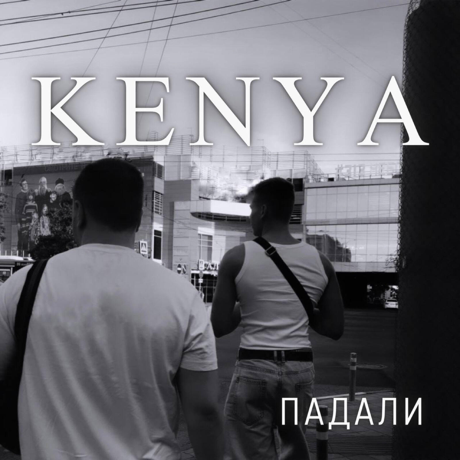 Постер альбома Падали