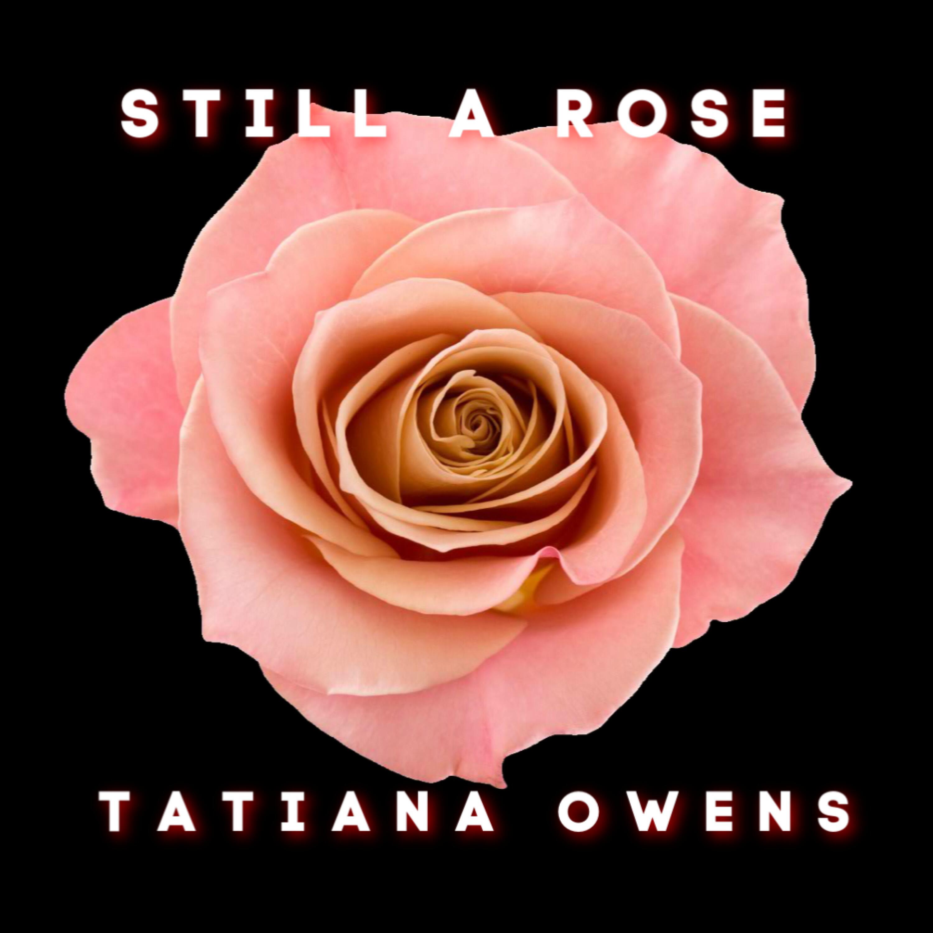 Релиз Still a Rose