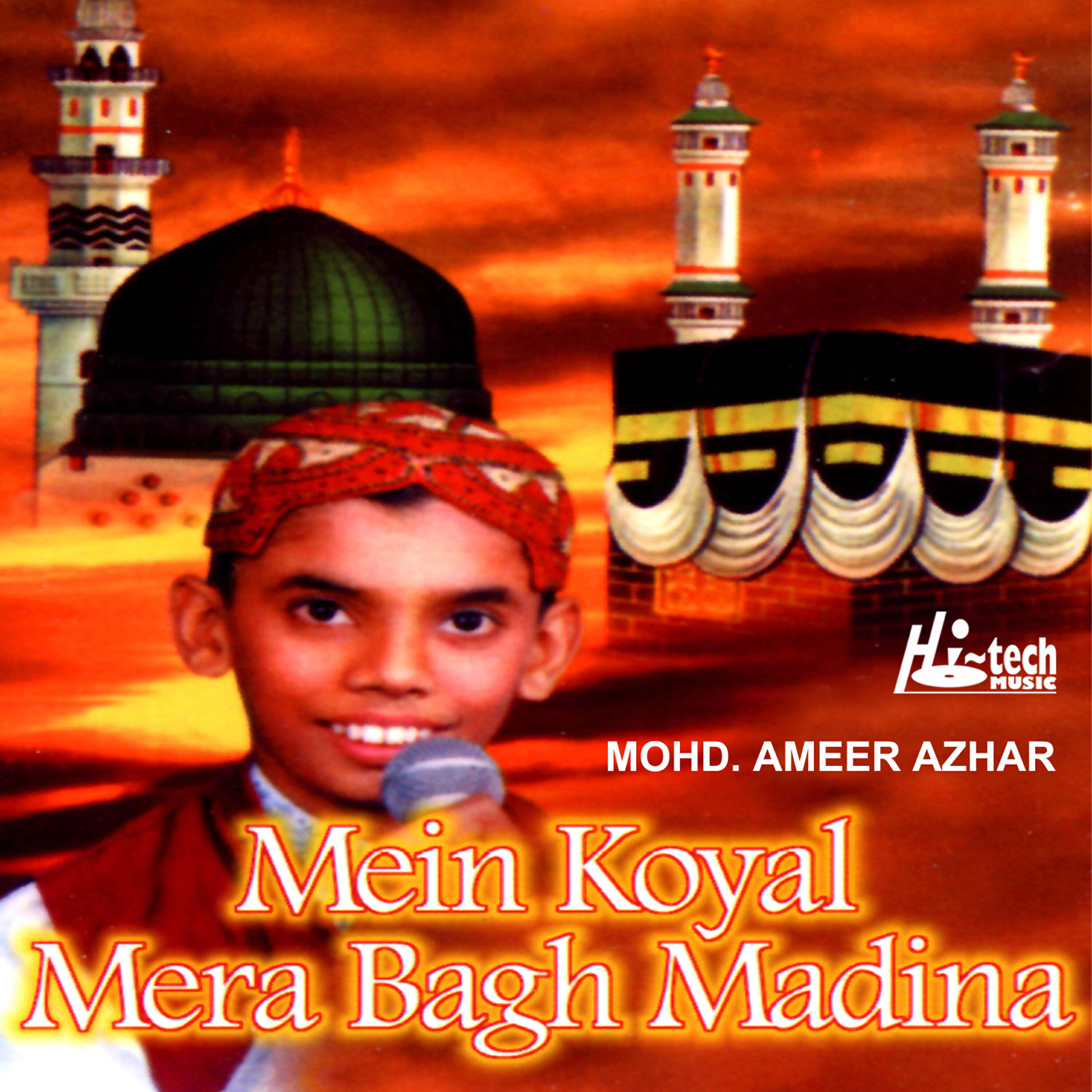 Mohd. Ameer Azhar