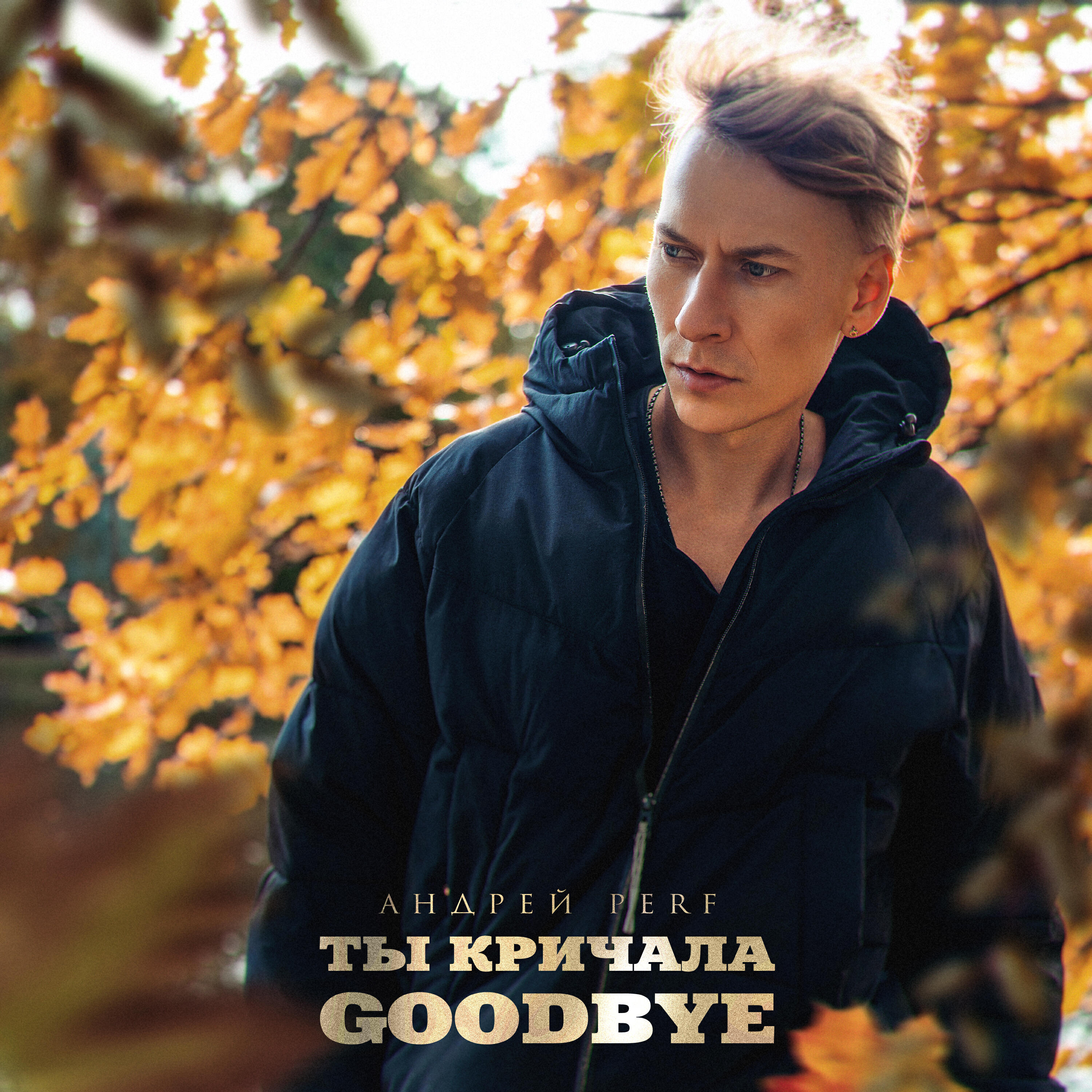 Релиз Ты кричала Goodbye