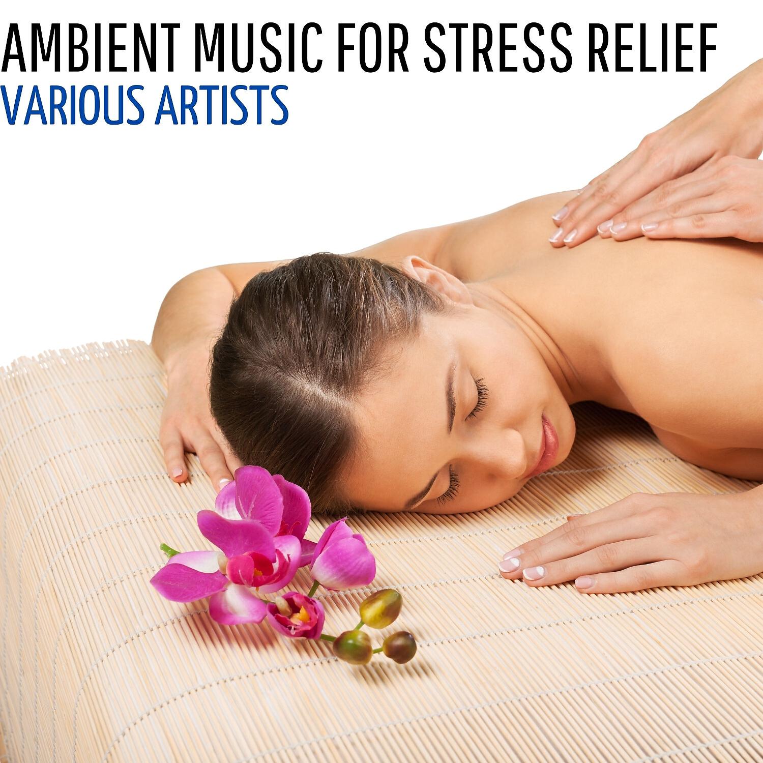 Релиз Ambient Music for Stress Relief