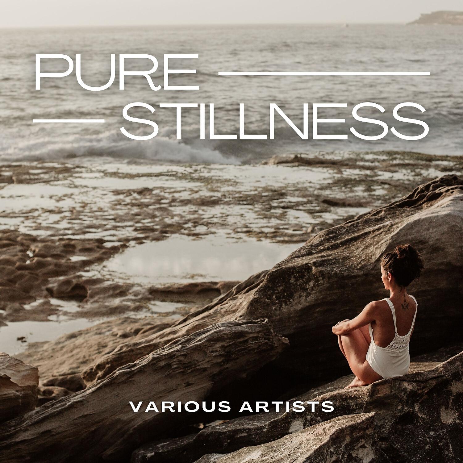 Постер альбома Pure Stillness