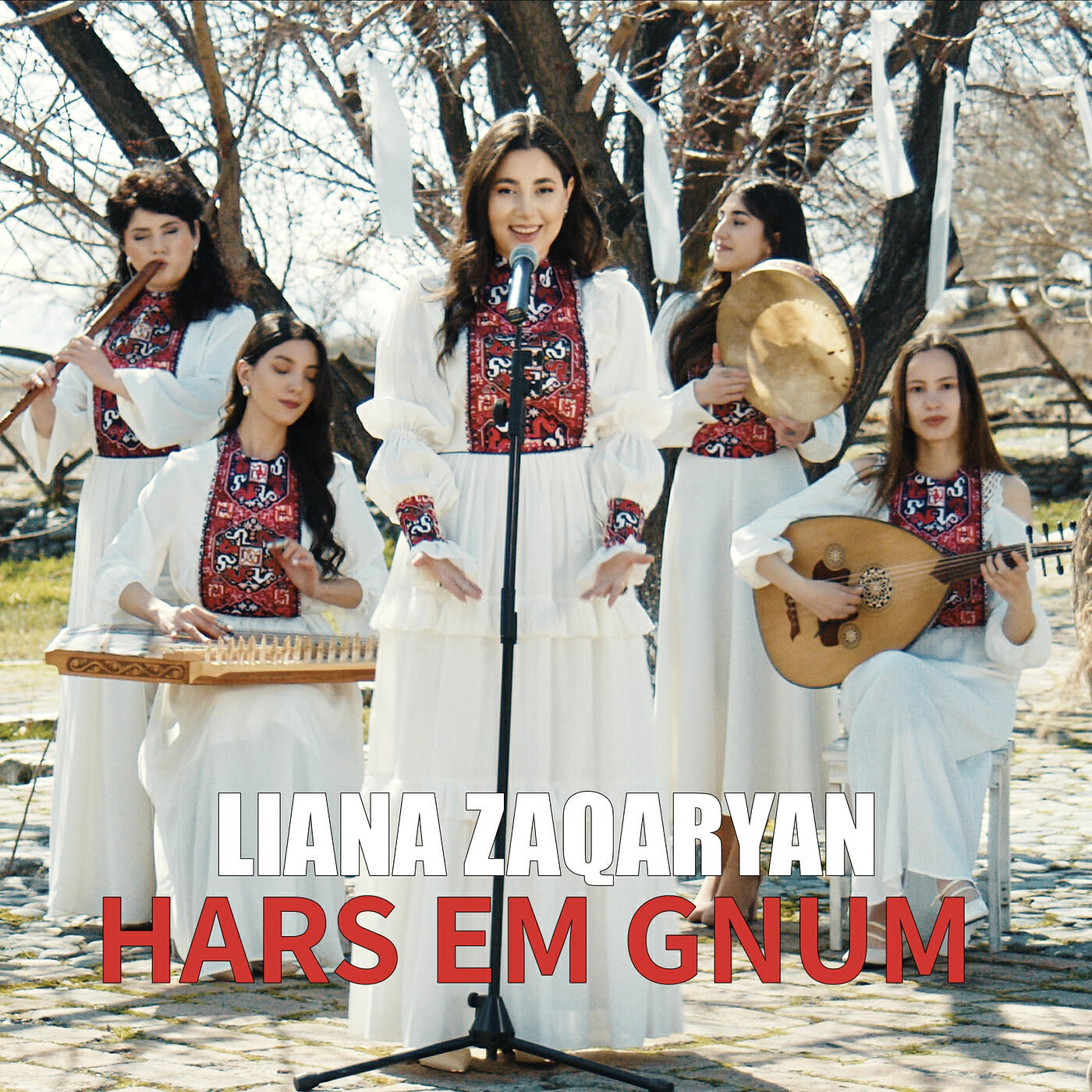 Релиз Hars Em Gnum