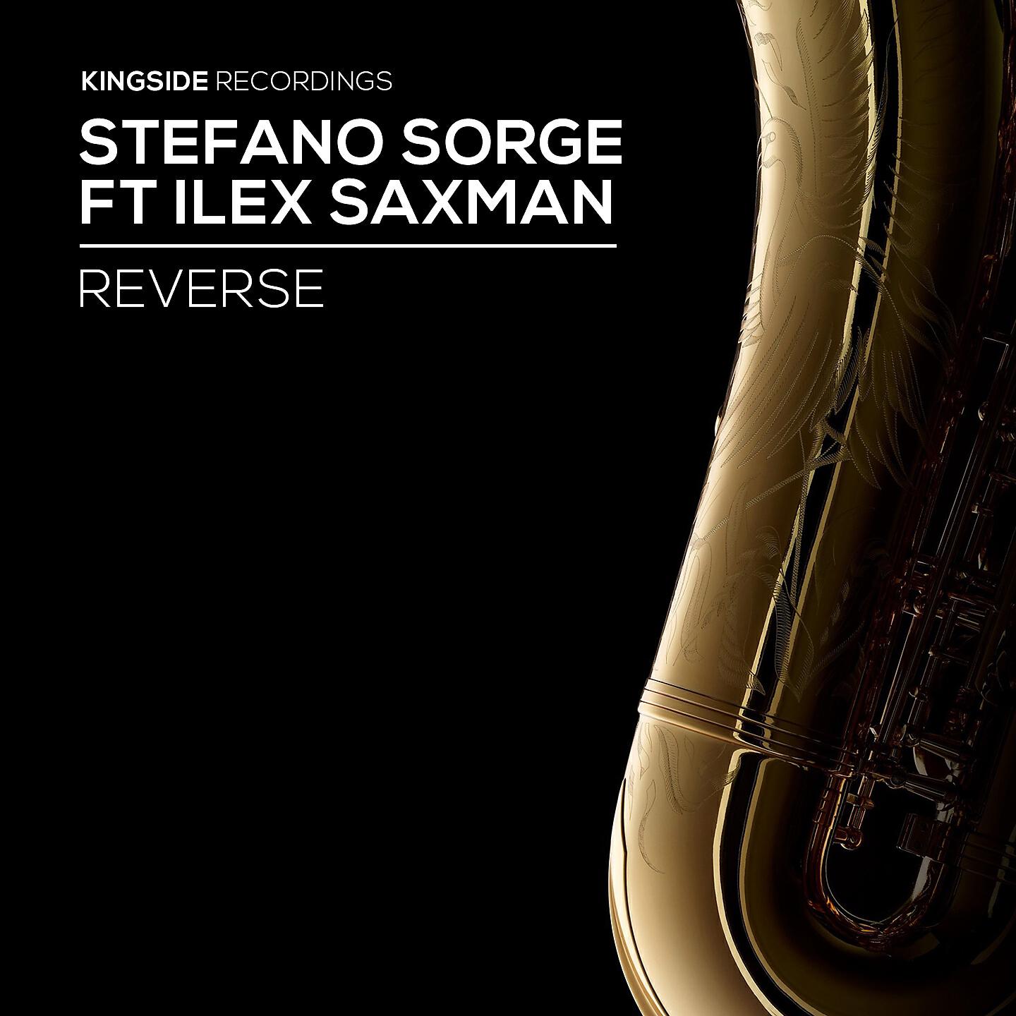 Ilex Saxman
