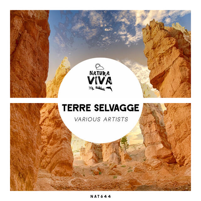 Релиз Terre Selvagge