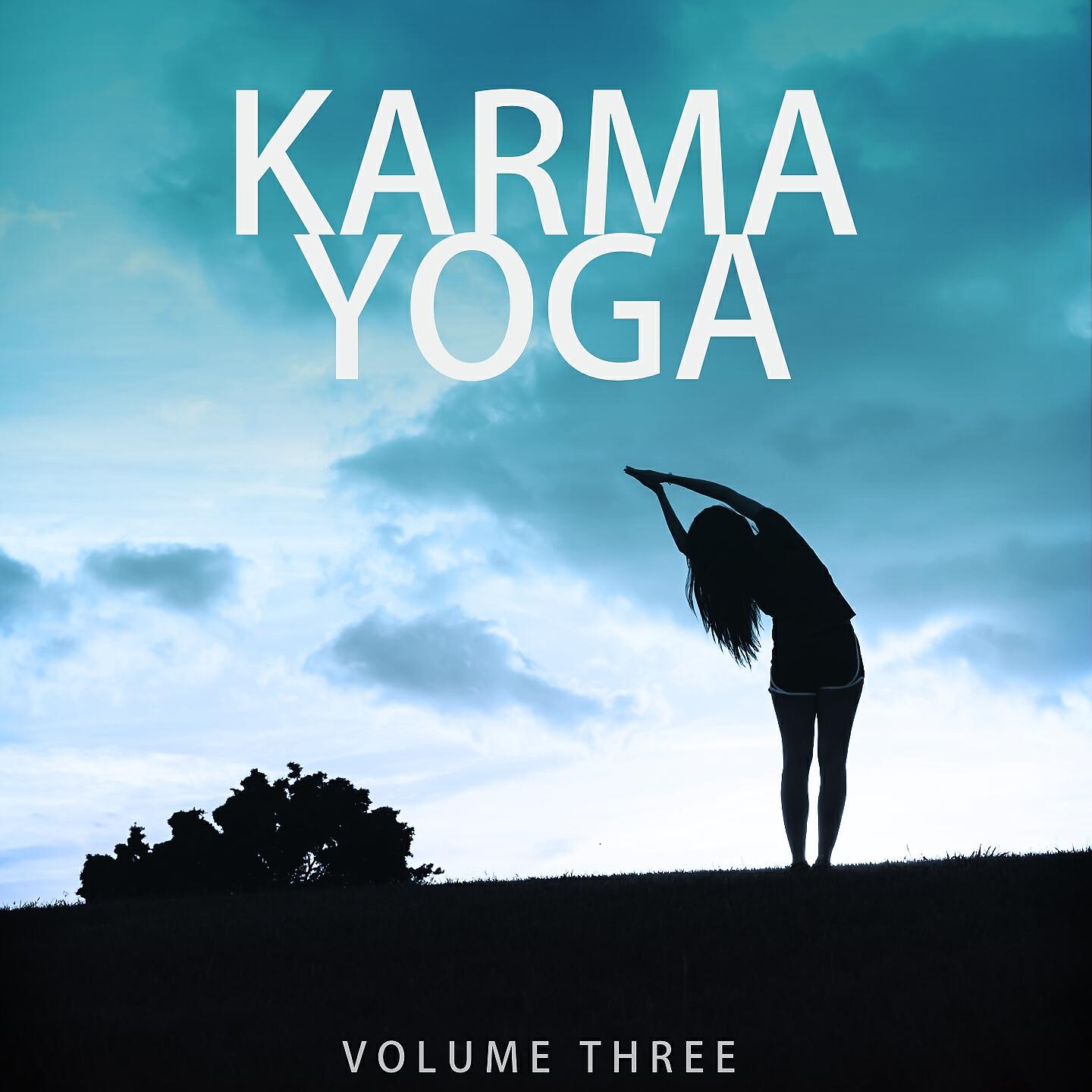 Постер альбома Karma Yoga, Vol. 3