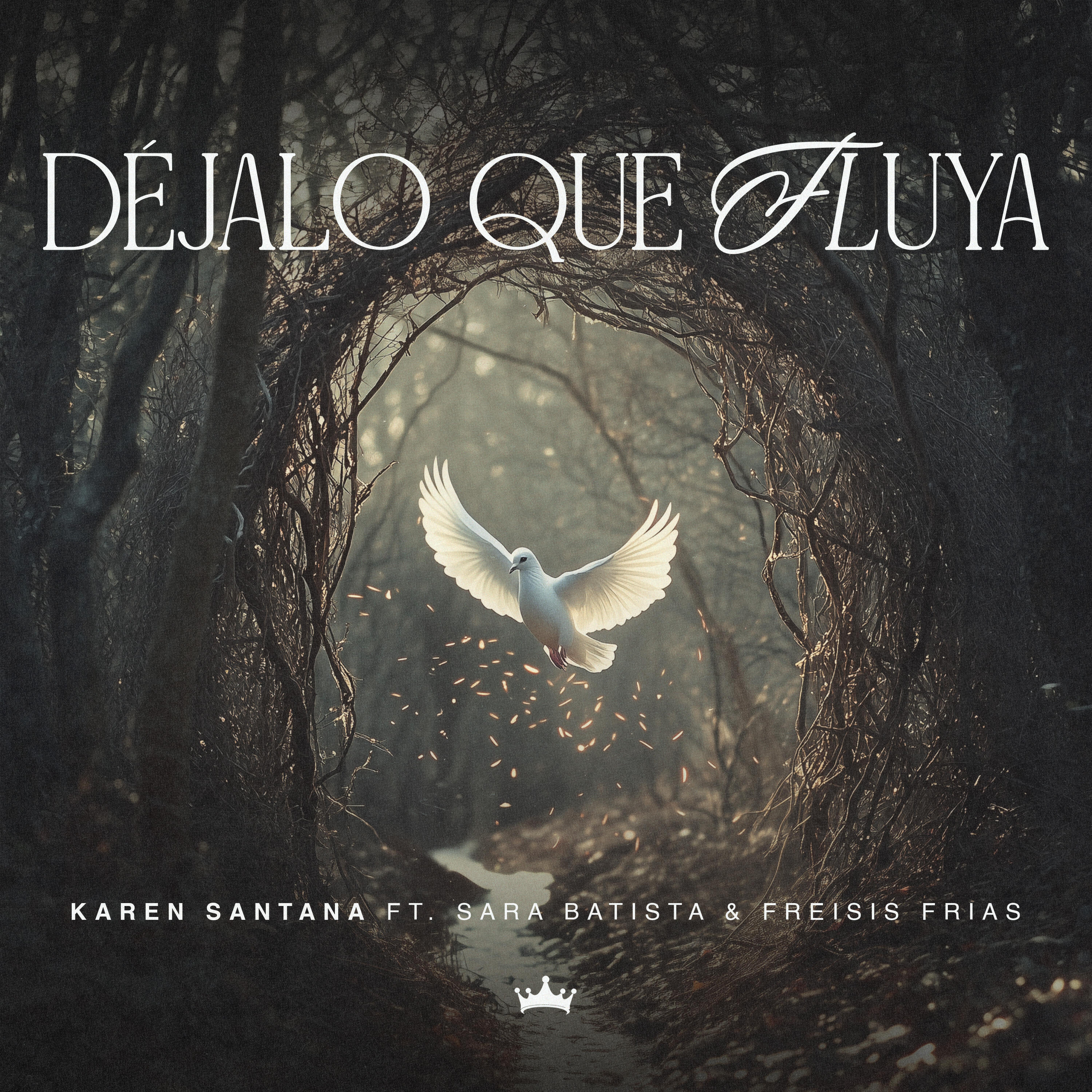 Релиз Déjalo Que Fluya