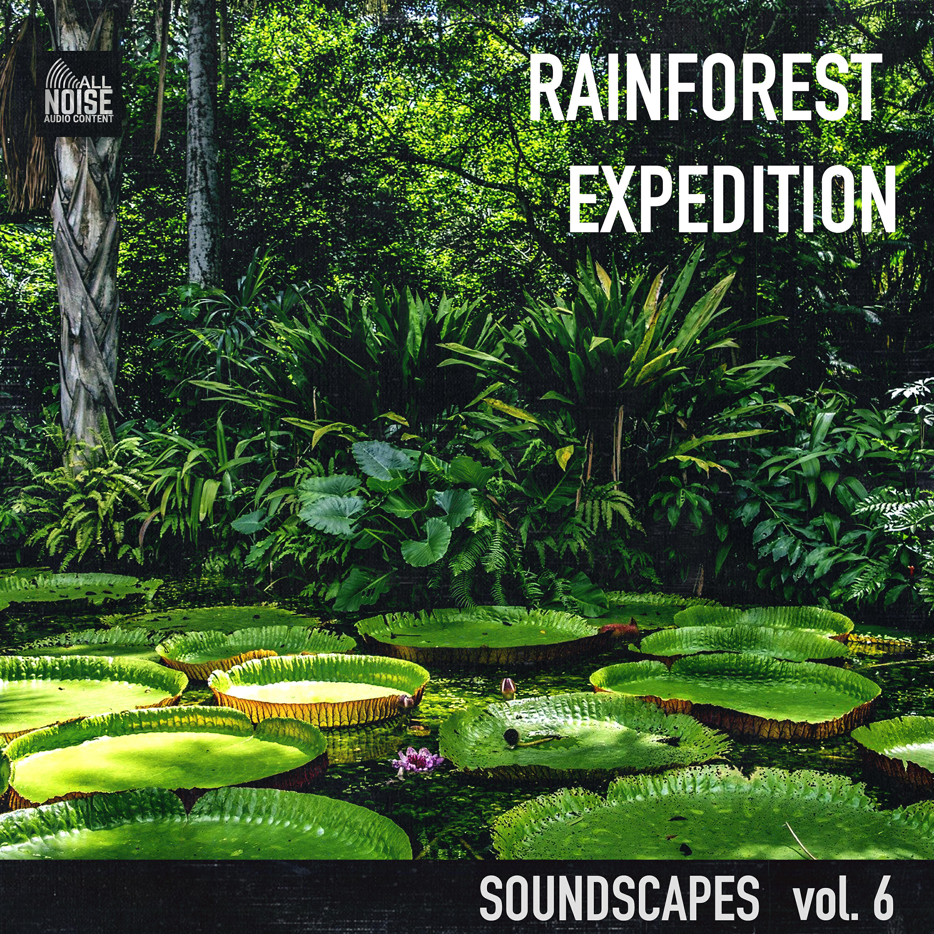 Релиз Soundscapes Vol.6: Rainforest Expedition