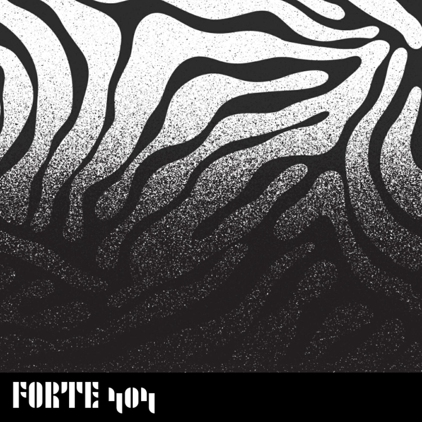 Релиз FORTE 404