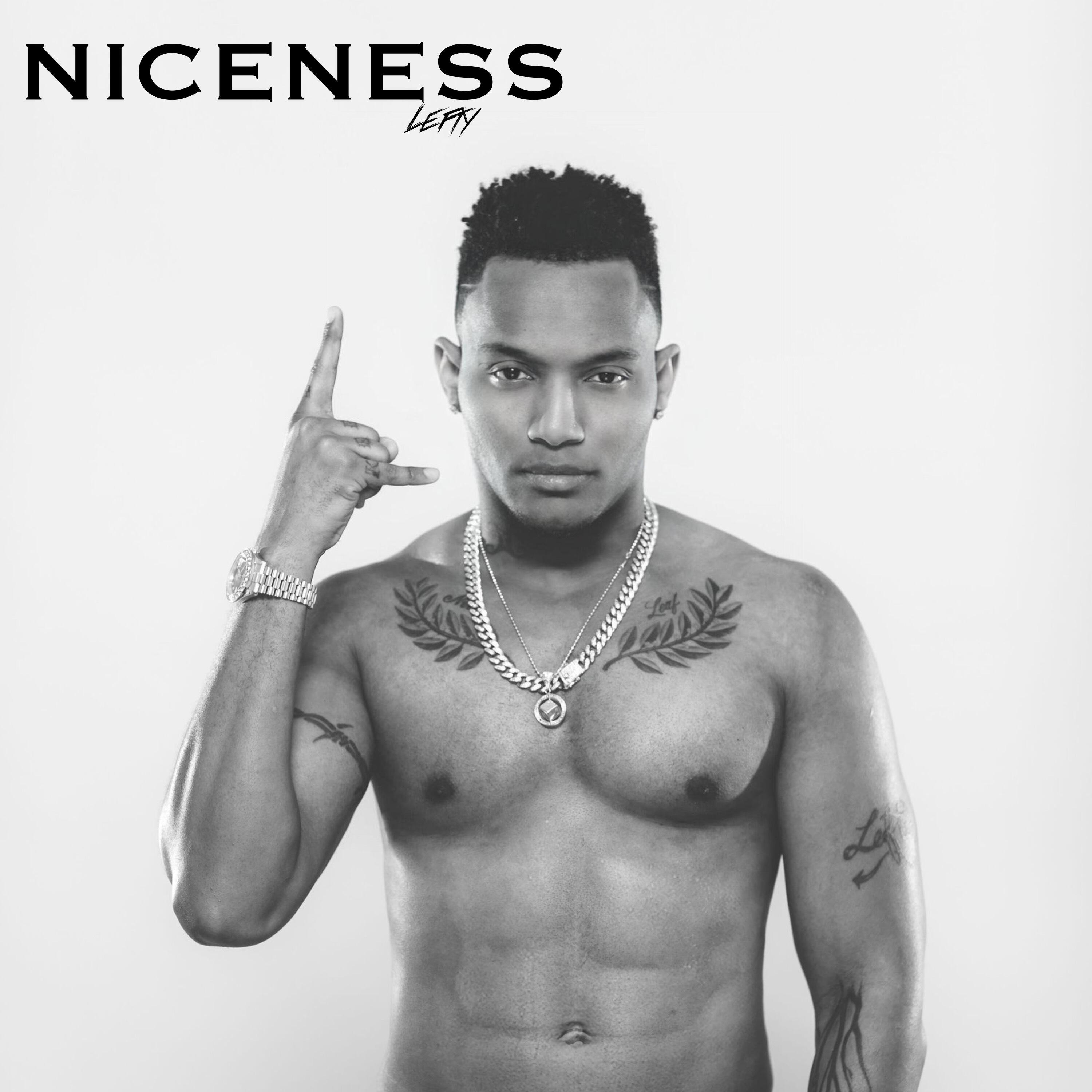 Релиз Niceness