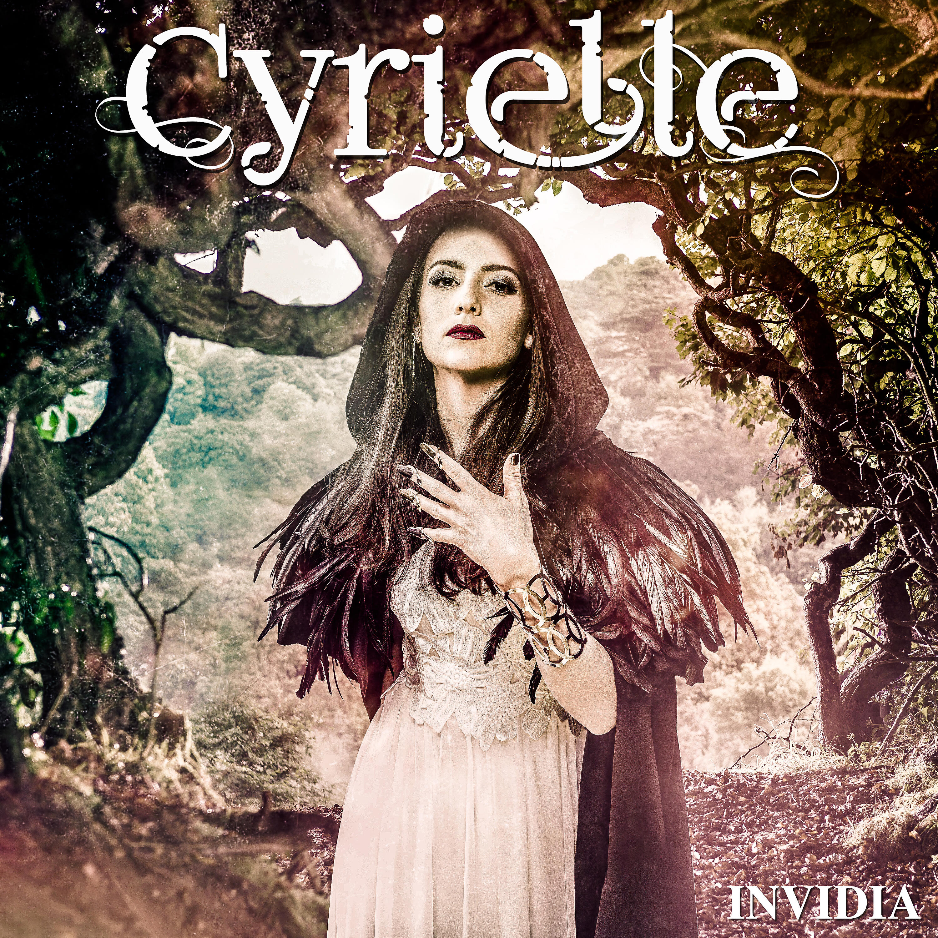 Релиз Invidia