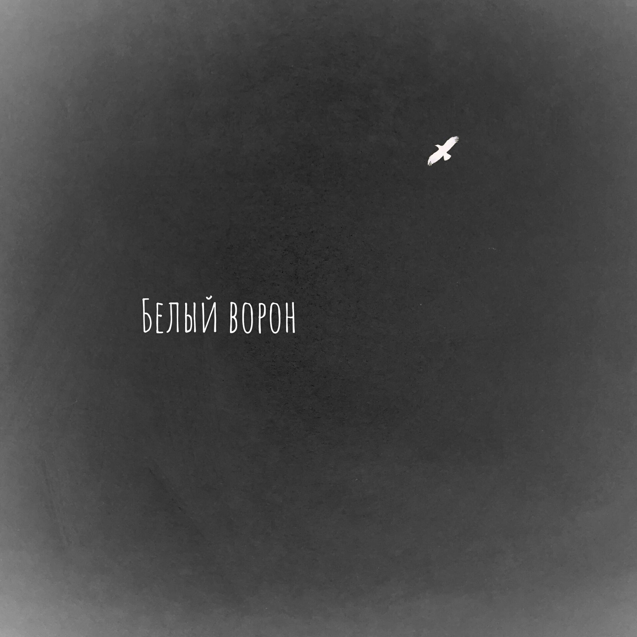 Релиз Белый ворон