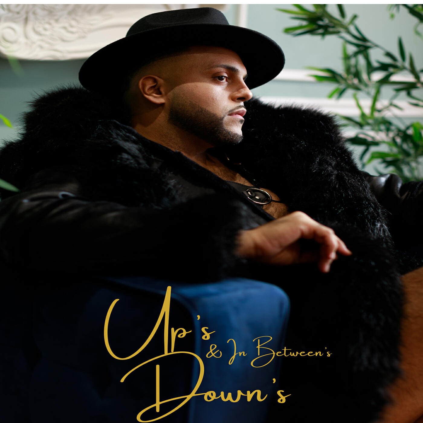 Релиз Ups Downs and in Betweens