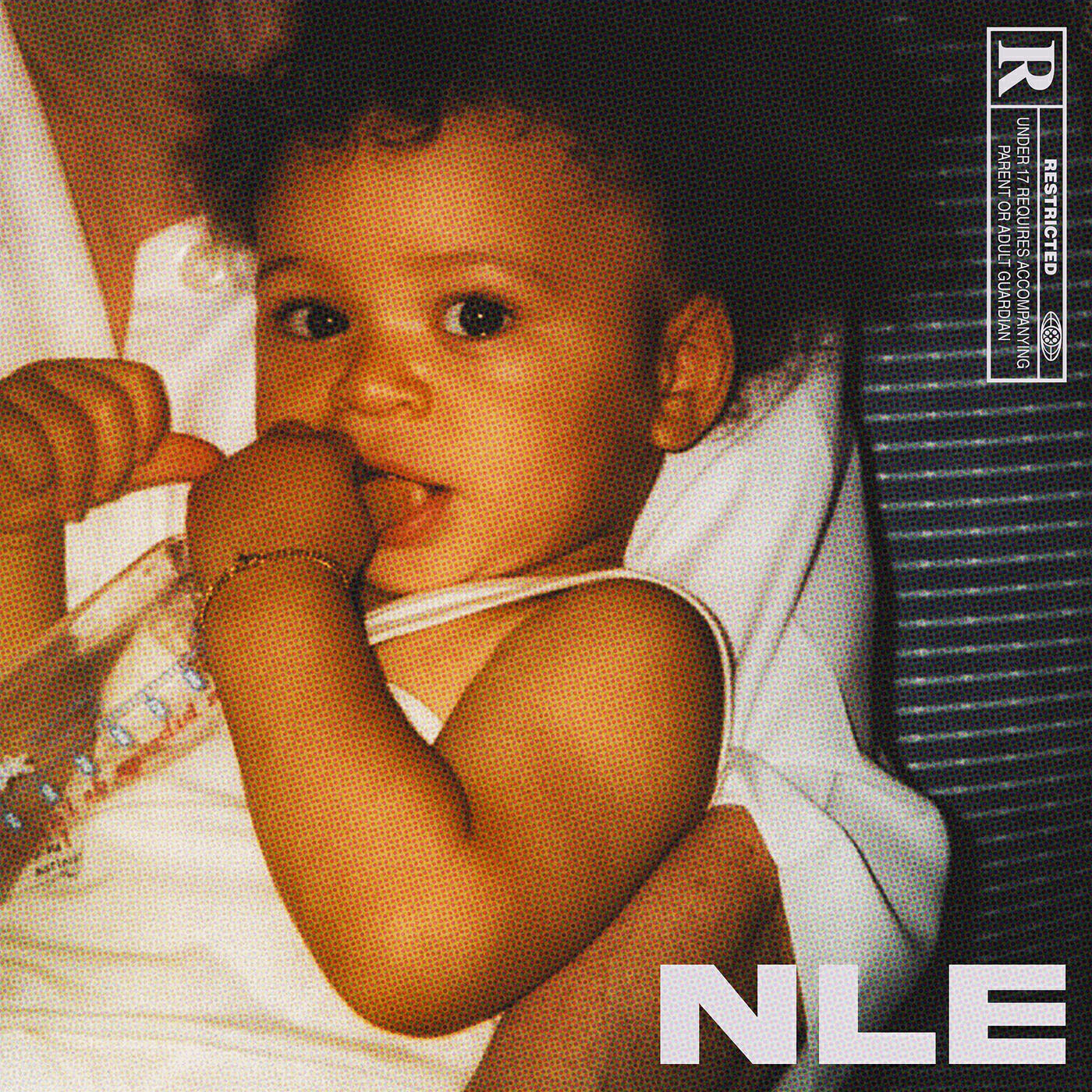 Релиз NLE