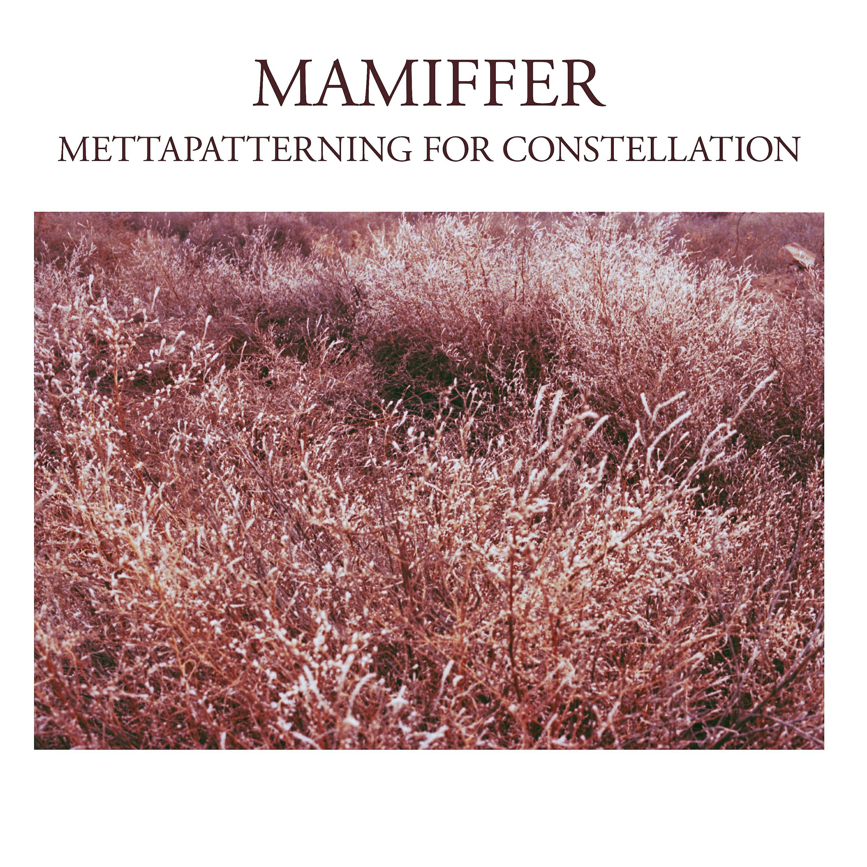 Релиз Mettapatterning for Constellation