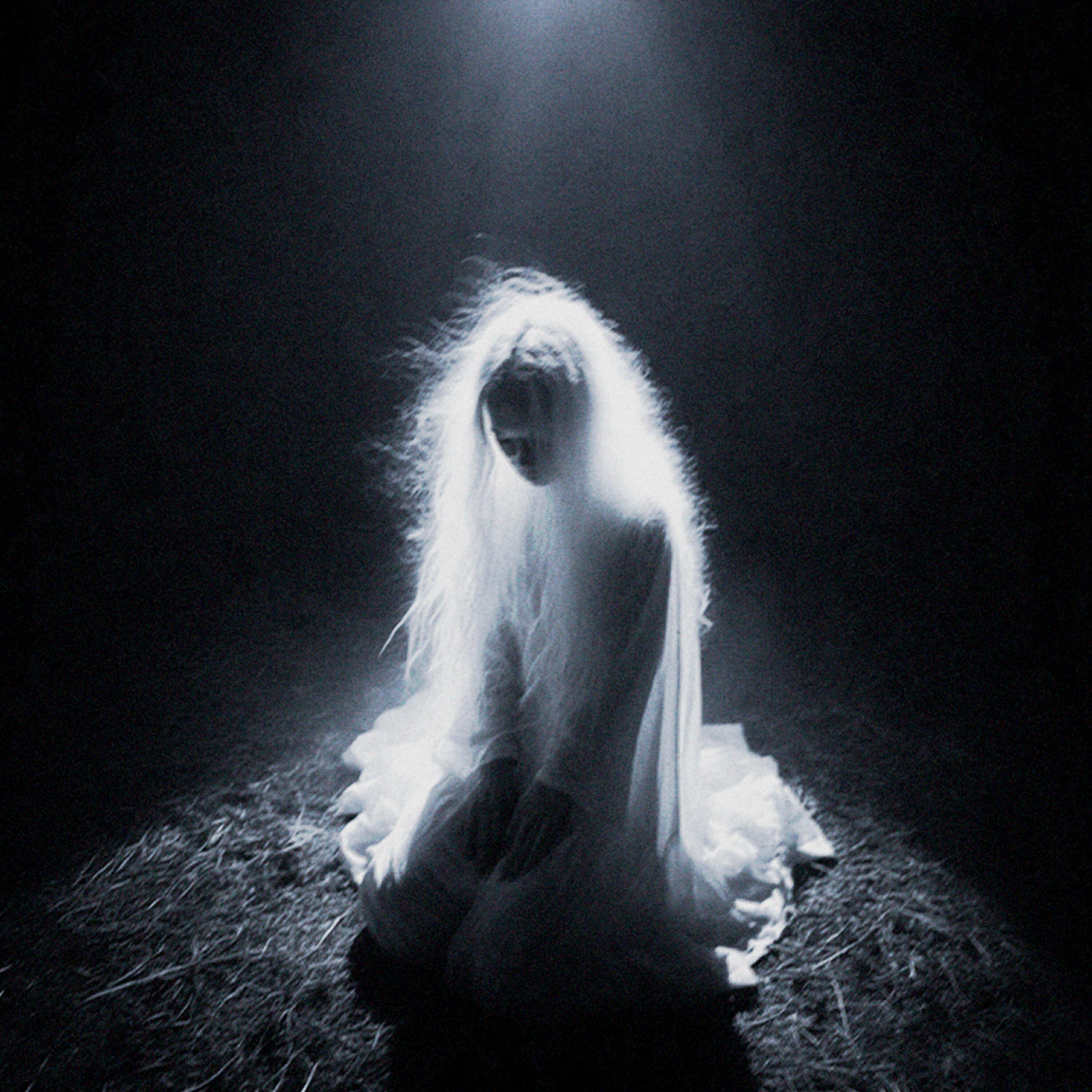 Релиз echoform