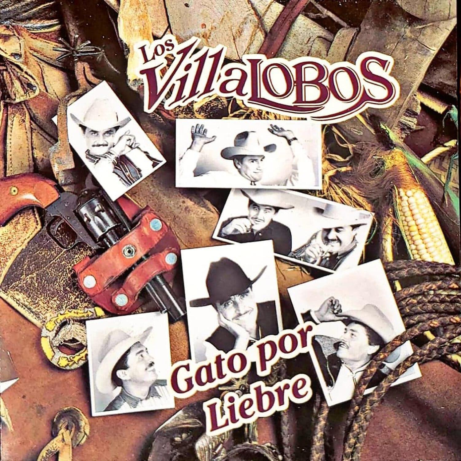 Релиз Gato por liebre