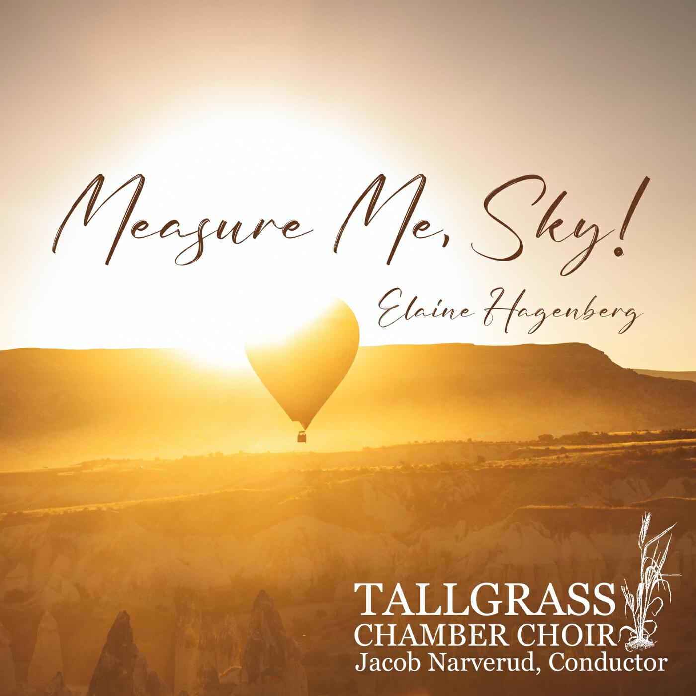 Релиз Measure Me, Sky!