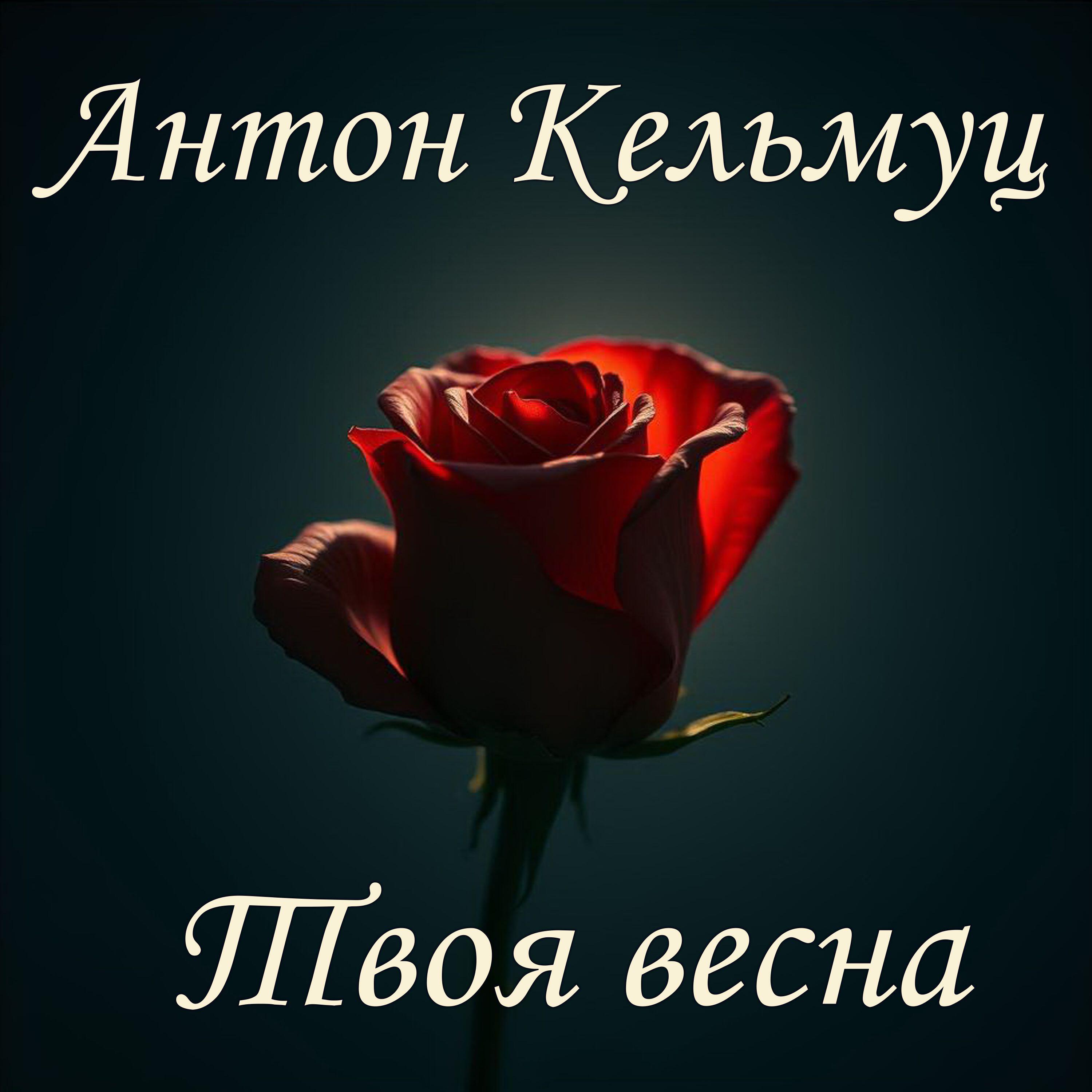 Постер альбома Твоя весна