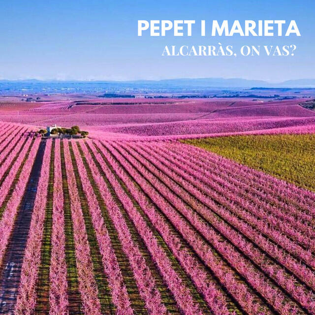 Релиз Alcarràs, on vas?