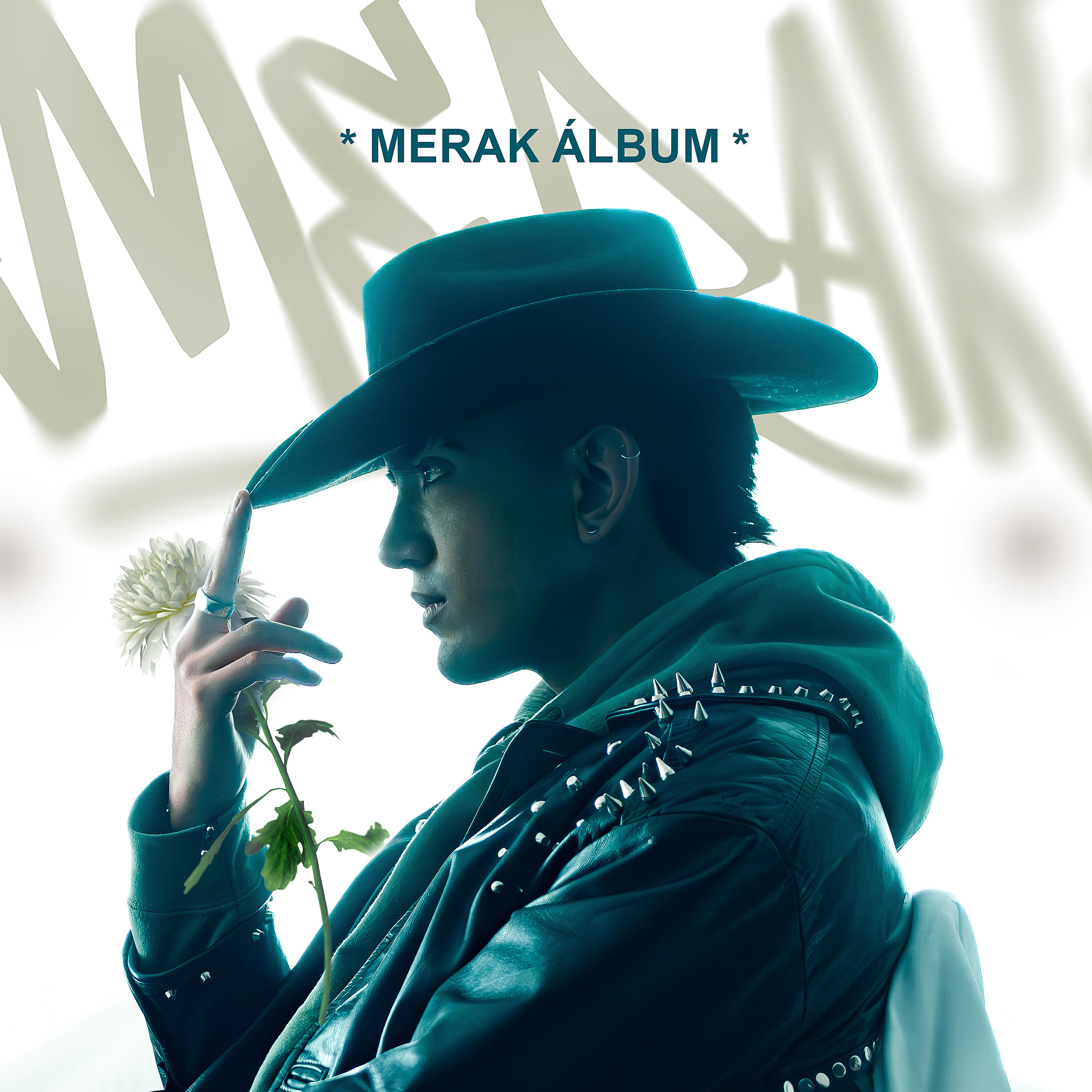 Релиз MERAK