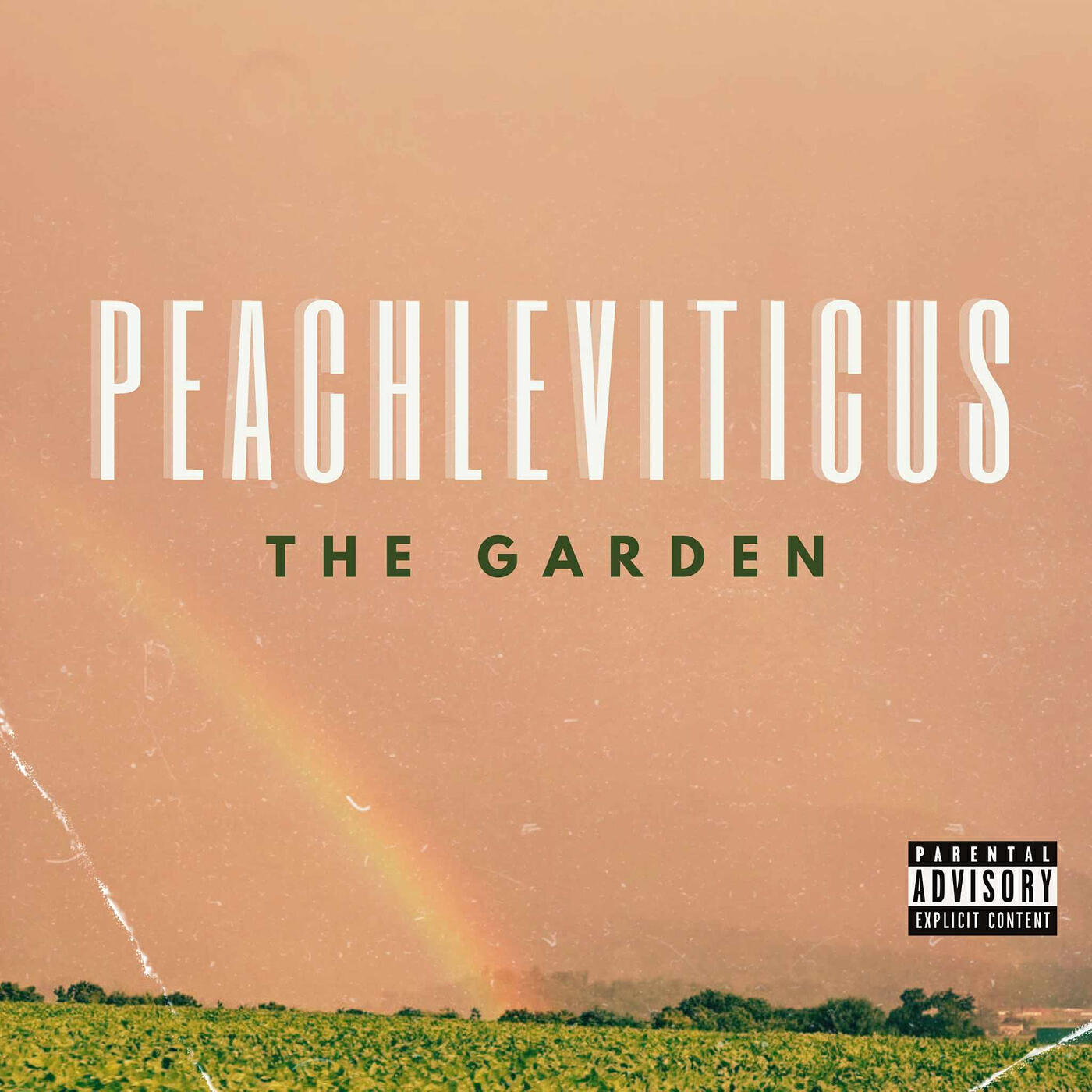 Релиз The Garden