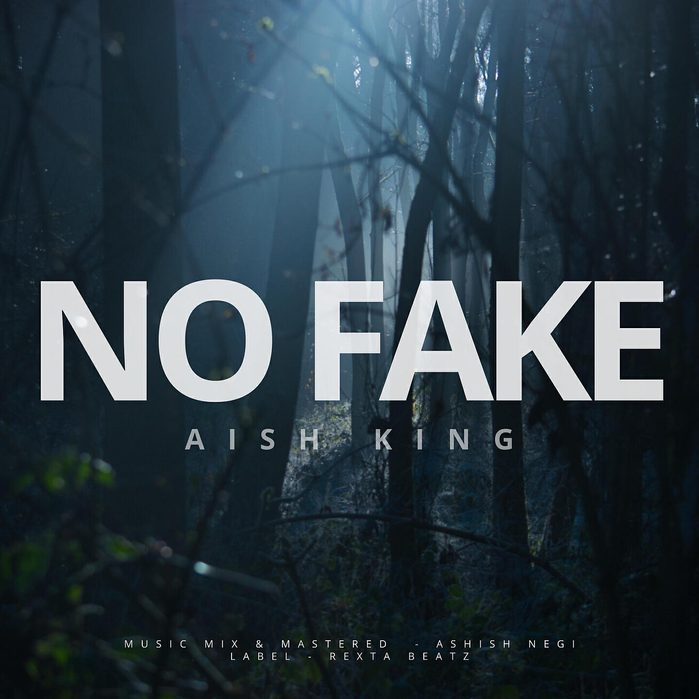 Релиз No Fake
