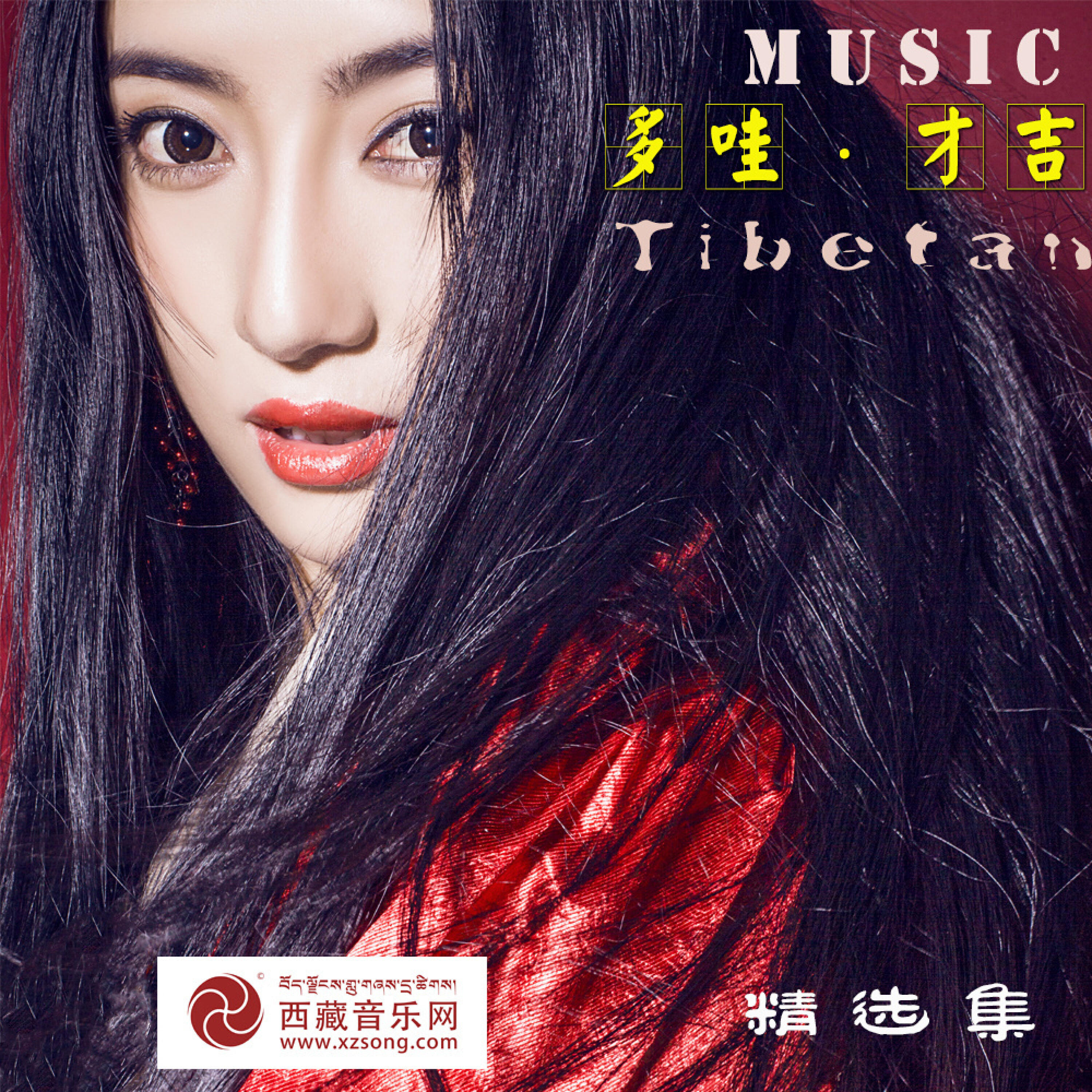 Релиз 多哇·才吉精选集