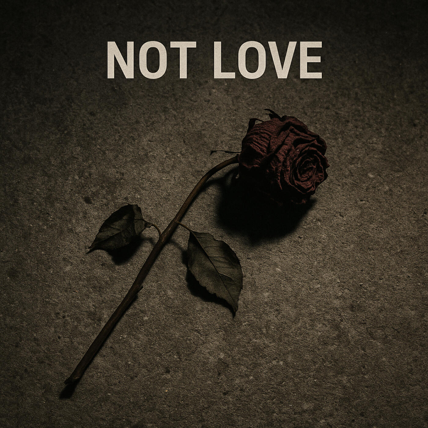 Постер альбома Not Love