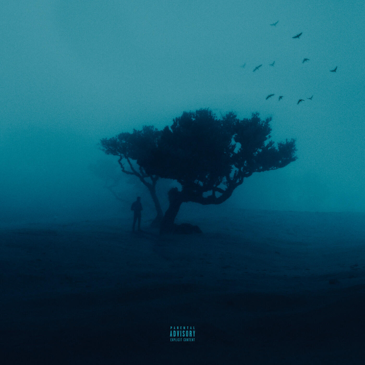 Релиз DRIP
