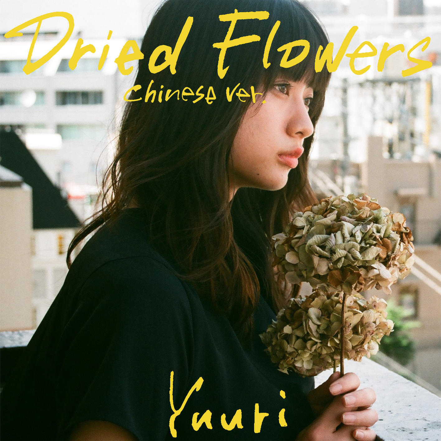 Релиз Dried Flowers(Chinese ver.)