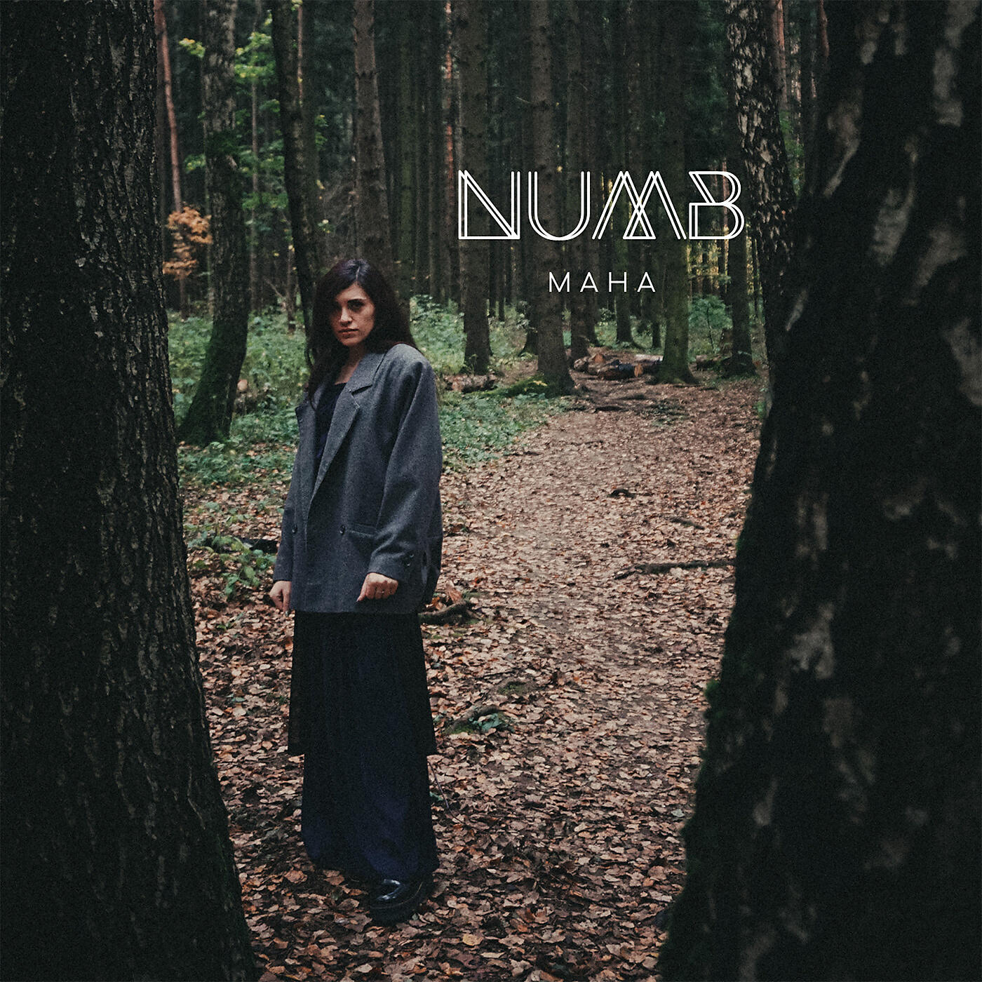 Релиз NUMB