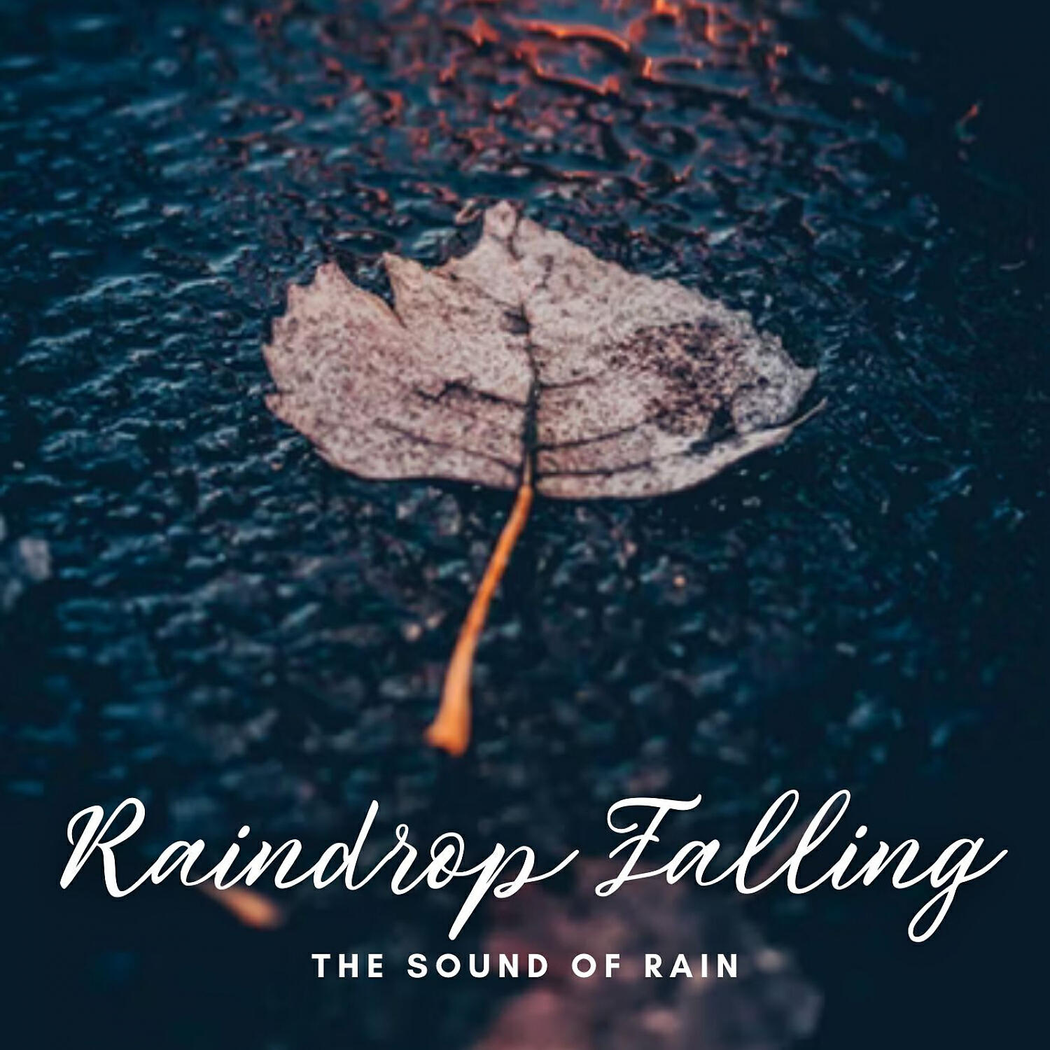 Релиз The Sound of Rain: Raindrop Falling