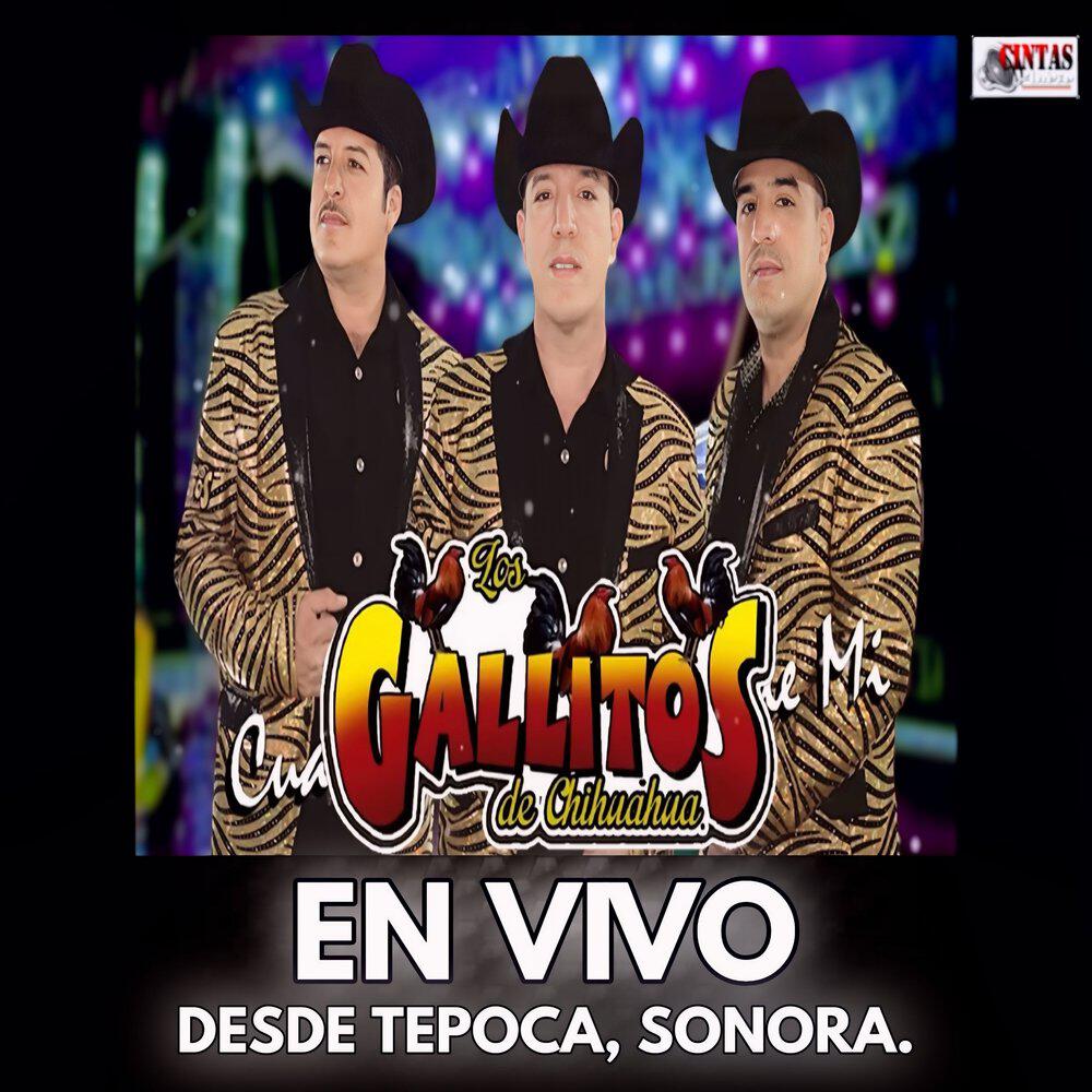 Релиз En Vivo Desde Tepoca, Sonora. (En Vivo)