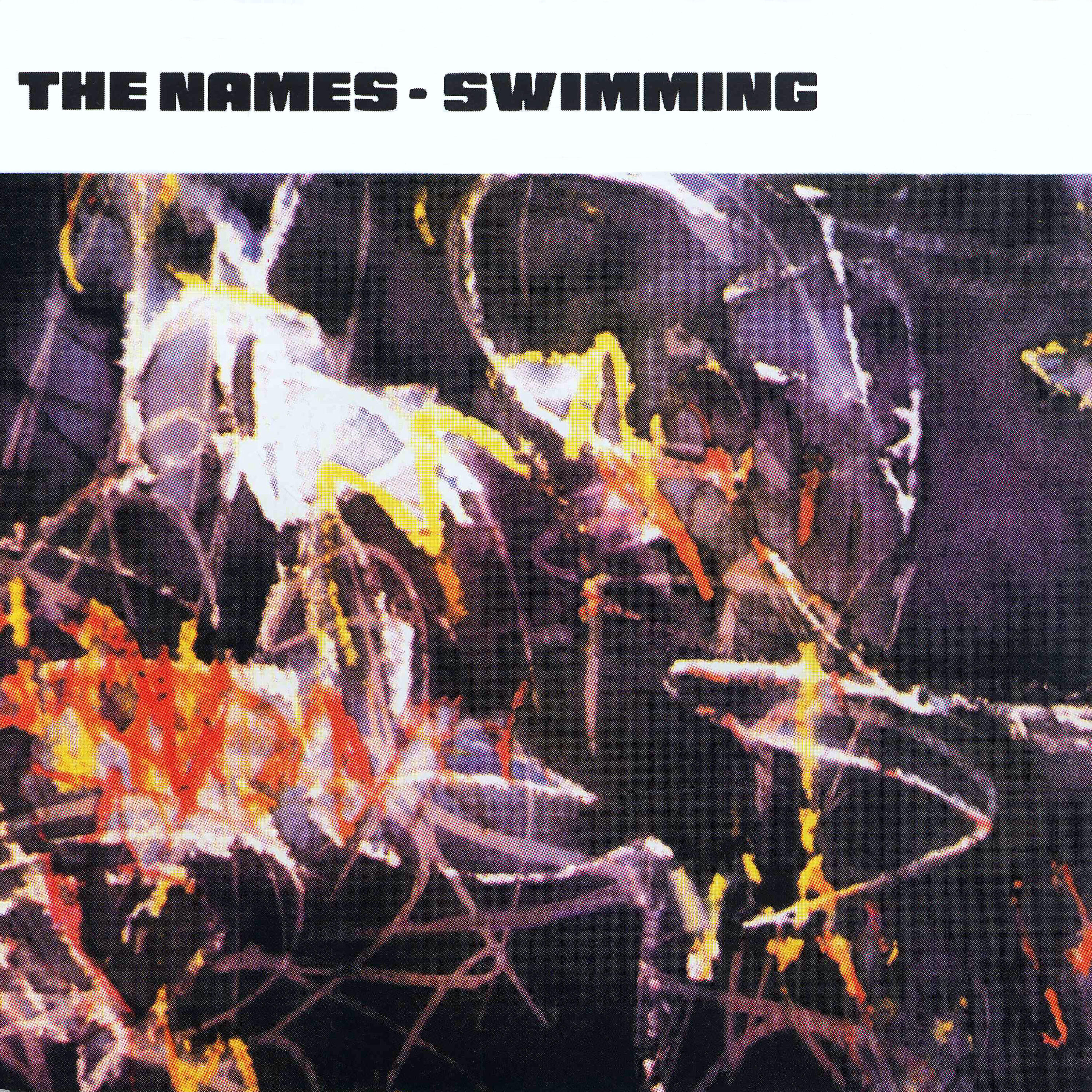 Релиз Swimming