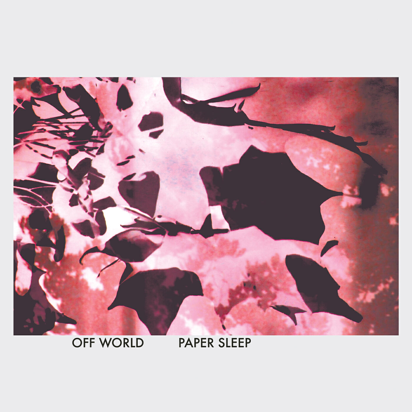 Paper Sleep