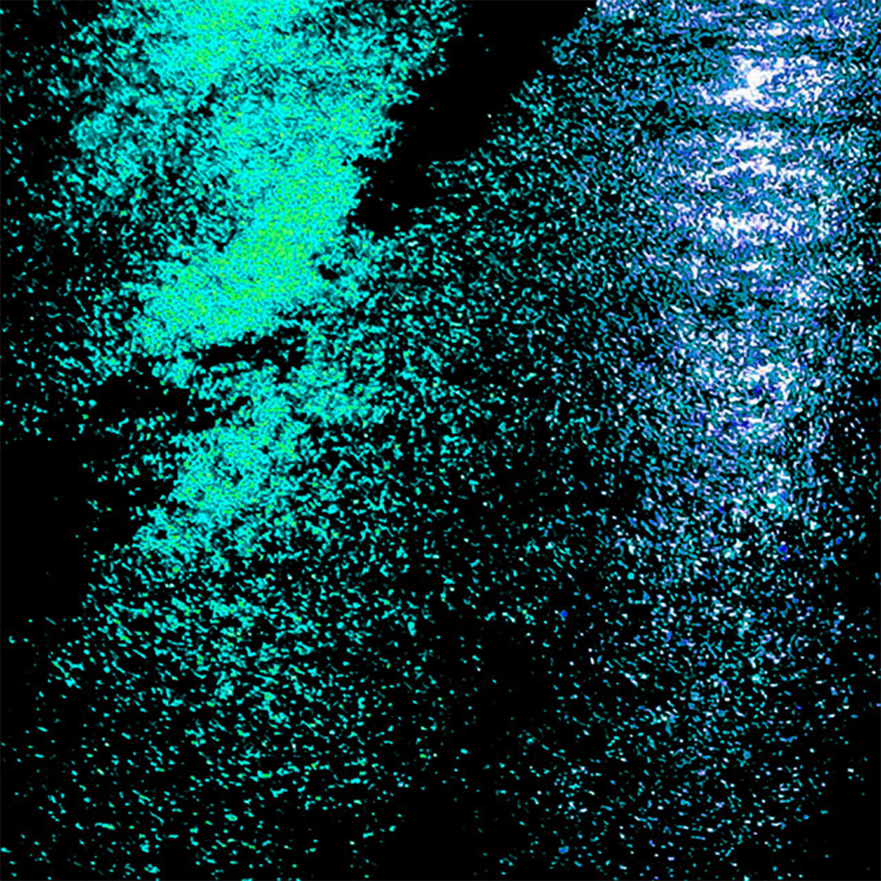 Релиз wet asphalt