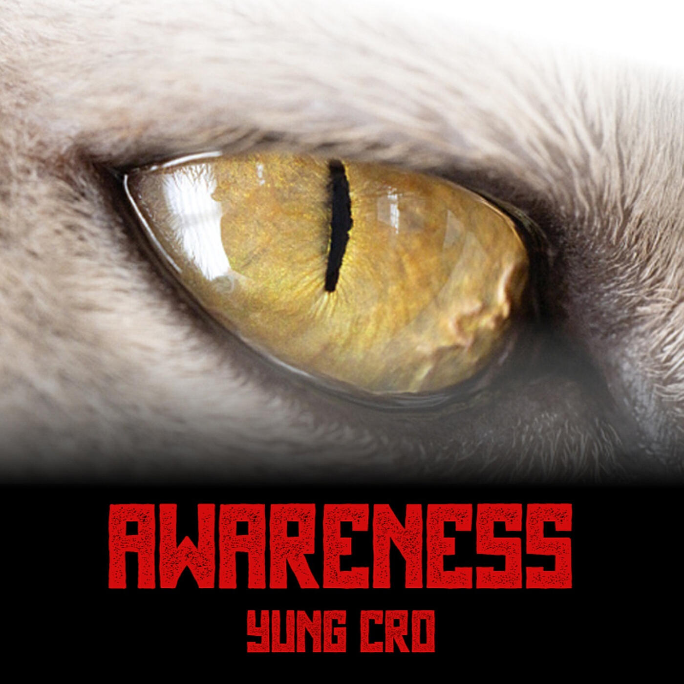 Релиз Awareness